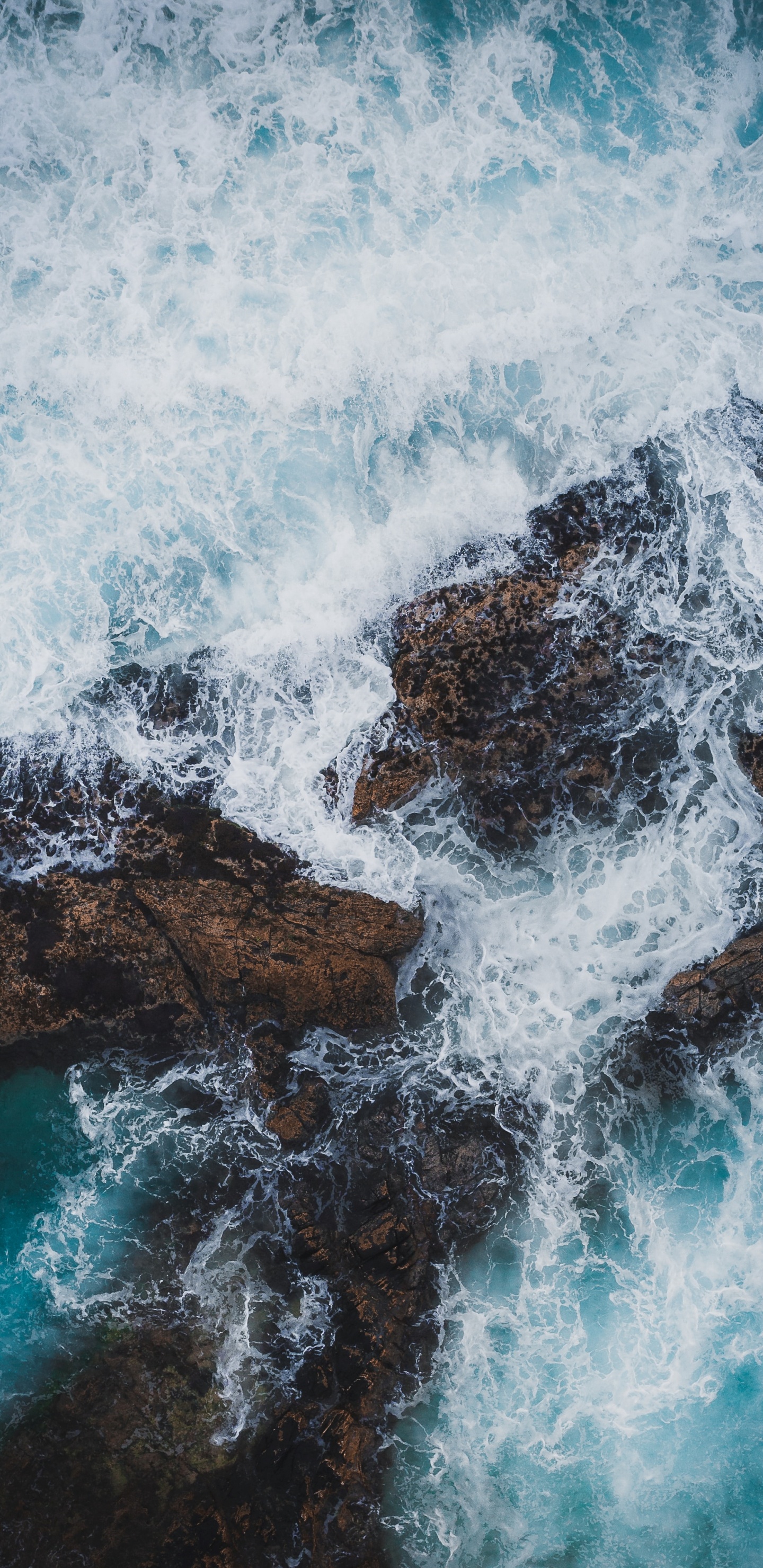 Обои океан, море, волна, побережье, природа в разрешении 1440x2960