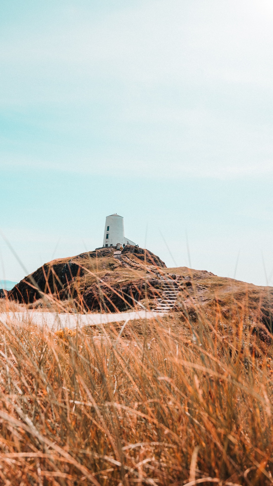 Обои семейство травы, поле, сено, солома, растение в разрешении 1080x1920