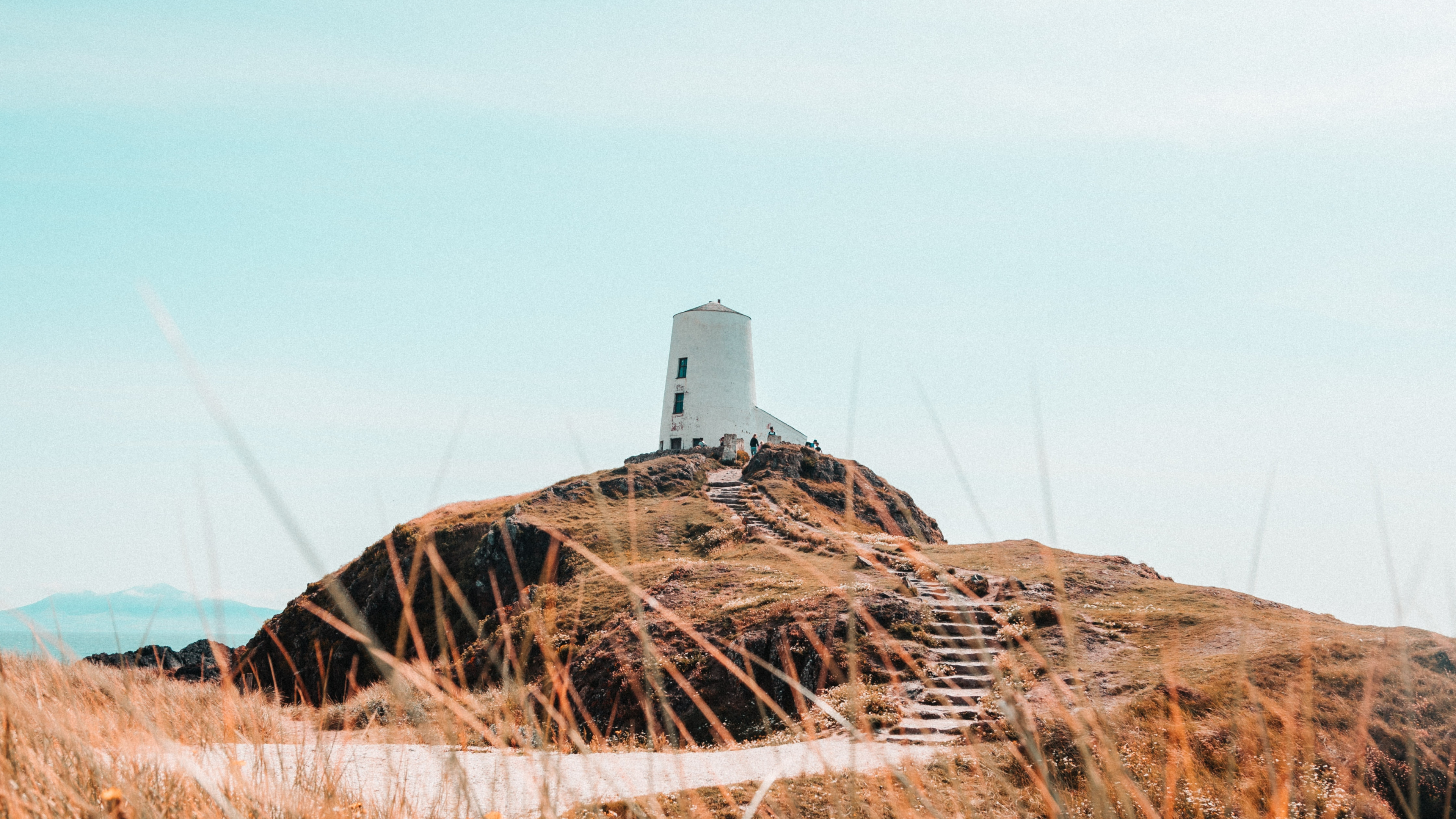 Обои семейство травы, поле, сено, солома, растение в разрешении 3840x2160