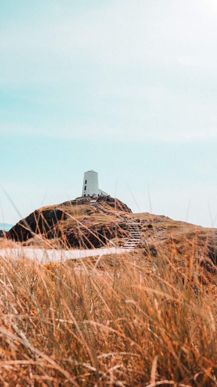 Обои семейство травы, поле, сено, солома, растение в разрешении 720x1280