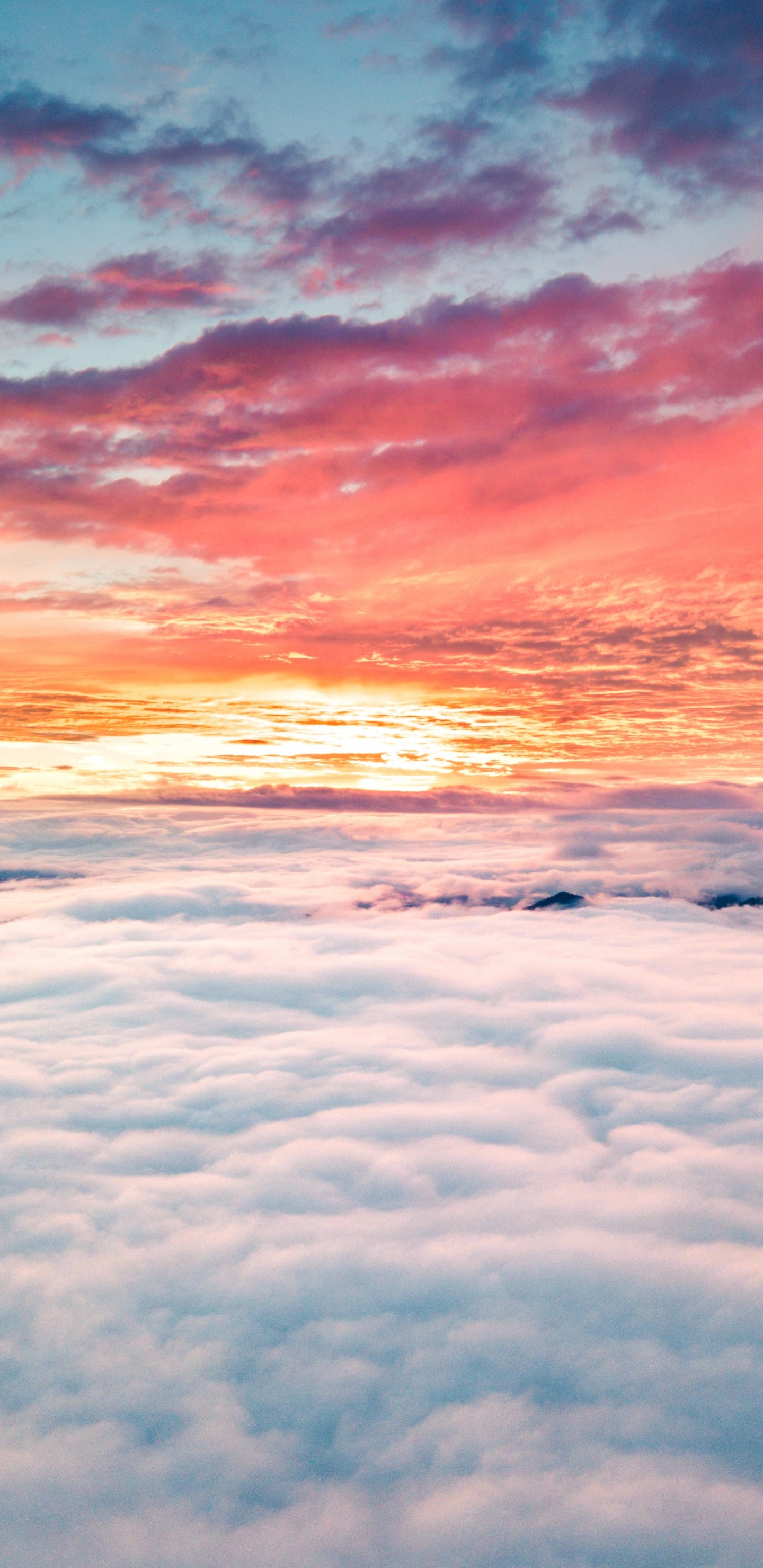 Обои облачный закат, облако, закат, восход солнца, атмосфера в разрешении 1440x2960