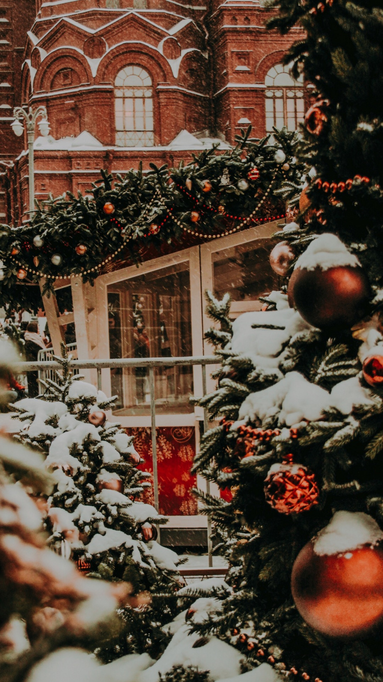 Обои государственный исторический музей, Соединенные Штаты, английский язык, окно, растение в разрешении 750x1334