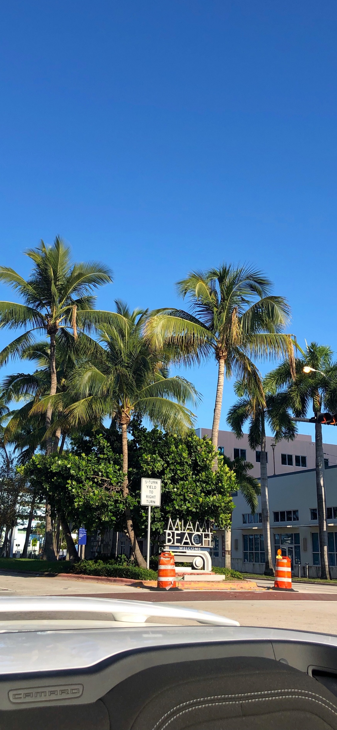 Обои пальмовые рощи, финиковая пальма, водоем, дорога, природа в разрешении 1125x2436