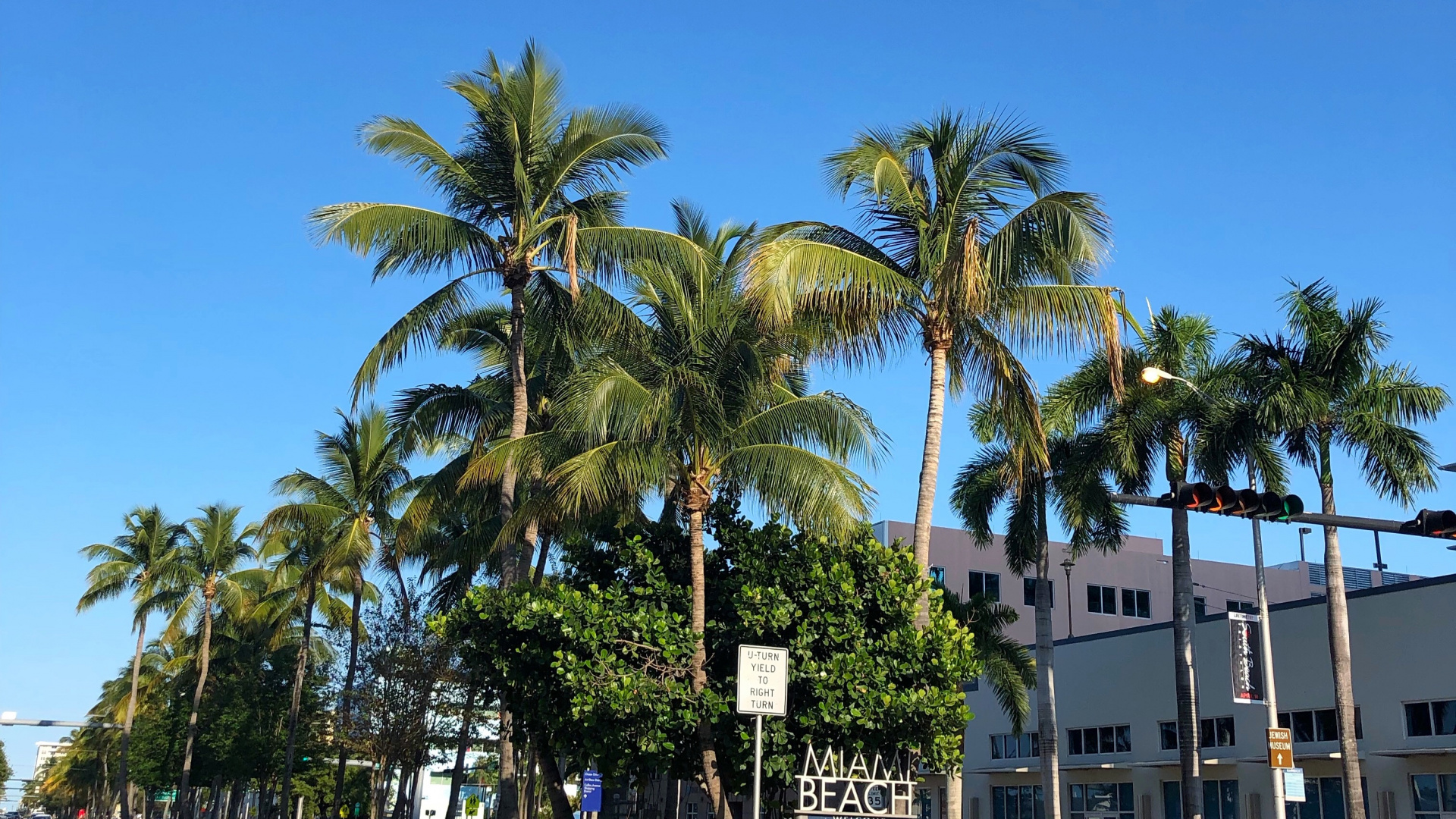 Обои пальмовые рощи, финиковая пальма, водоем, дорога, природа в разрешении 1920x1080