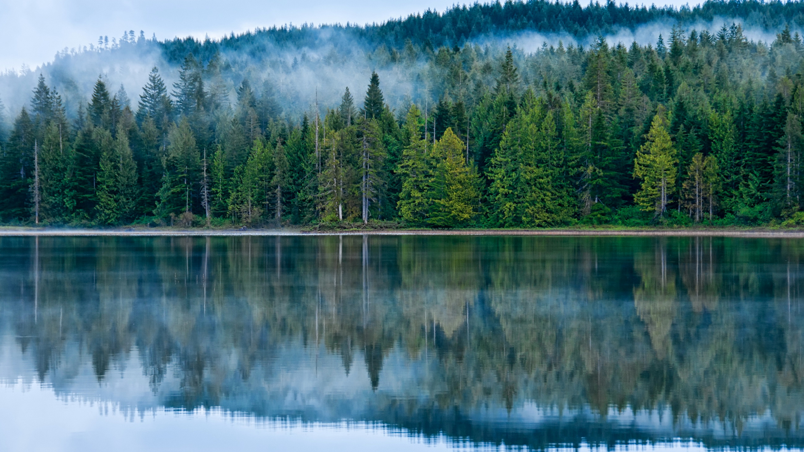 Обои озеро, отражение, природа, вода, дикая местность в разрешении 2560x1440