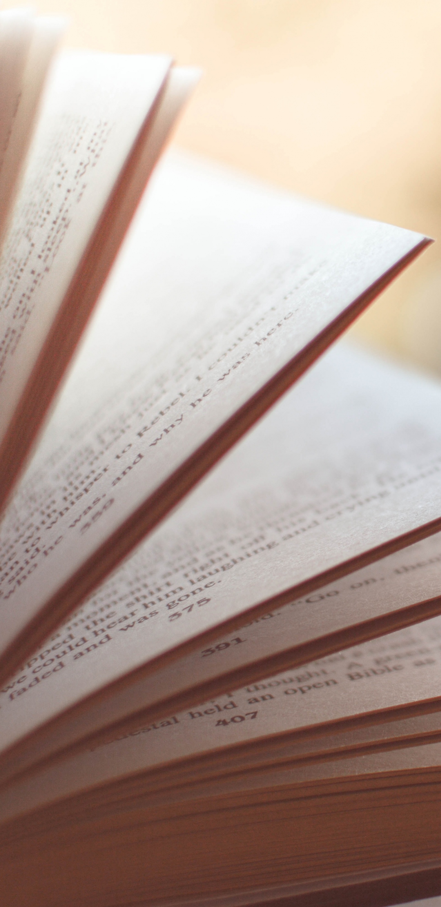 Обои Автор, книга, издание, электронная книга, чтение в разрешении 1440x2960