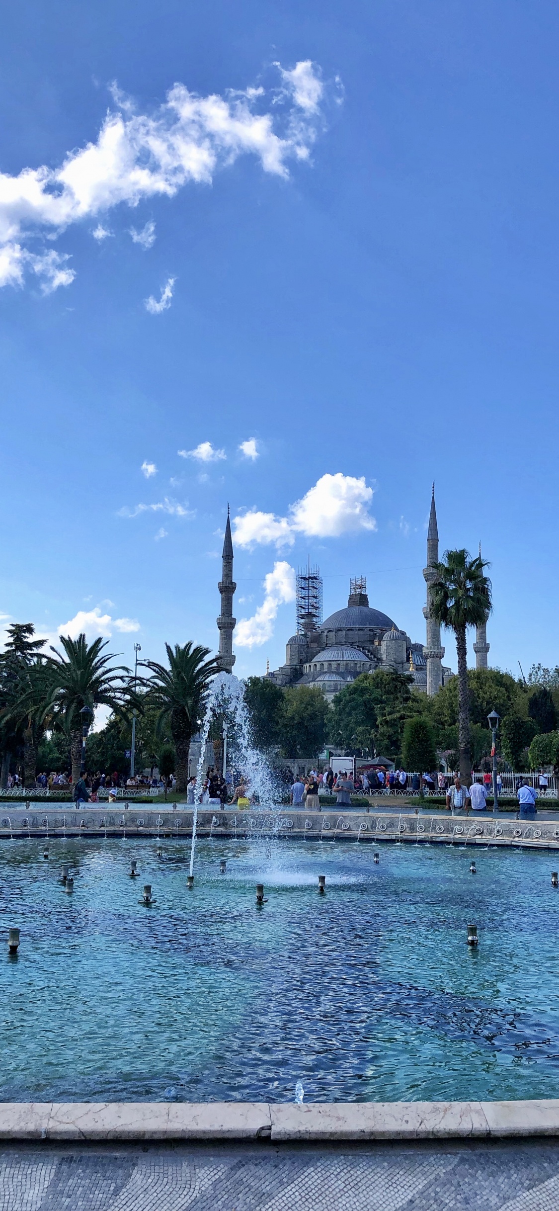 Обои пальмовые рощи, водоем, вода, гидроресурсы, городок в разрешении 1125x2436