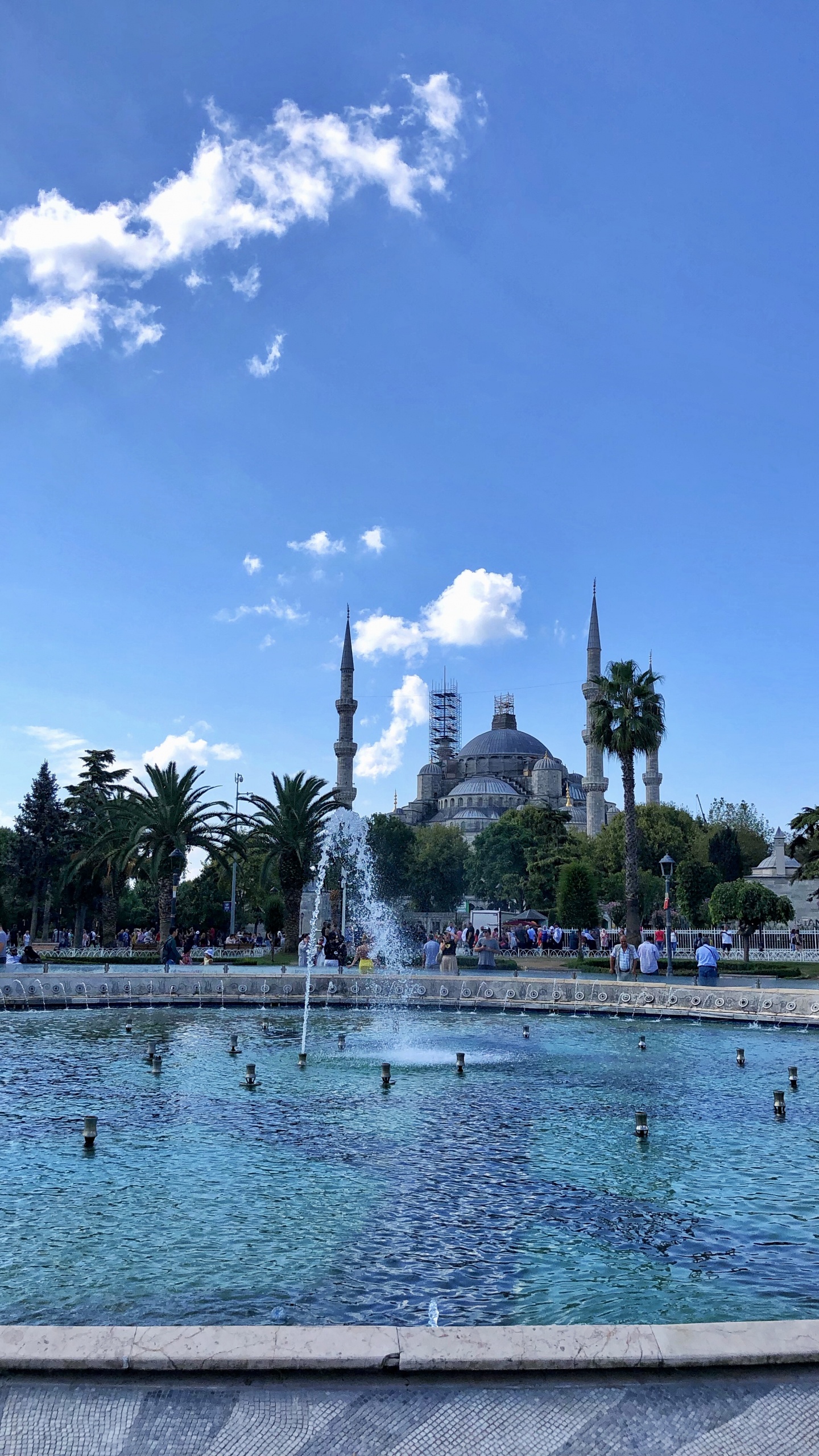 Обои пальмовые рощи, водоем, вода, гидроресурсы, городок в разрешении 1440x2560