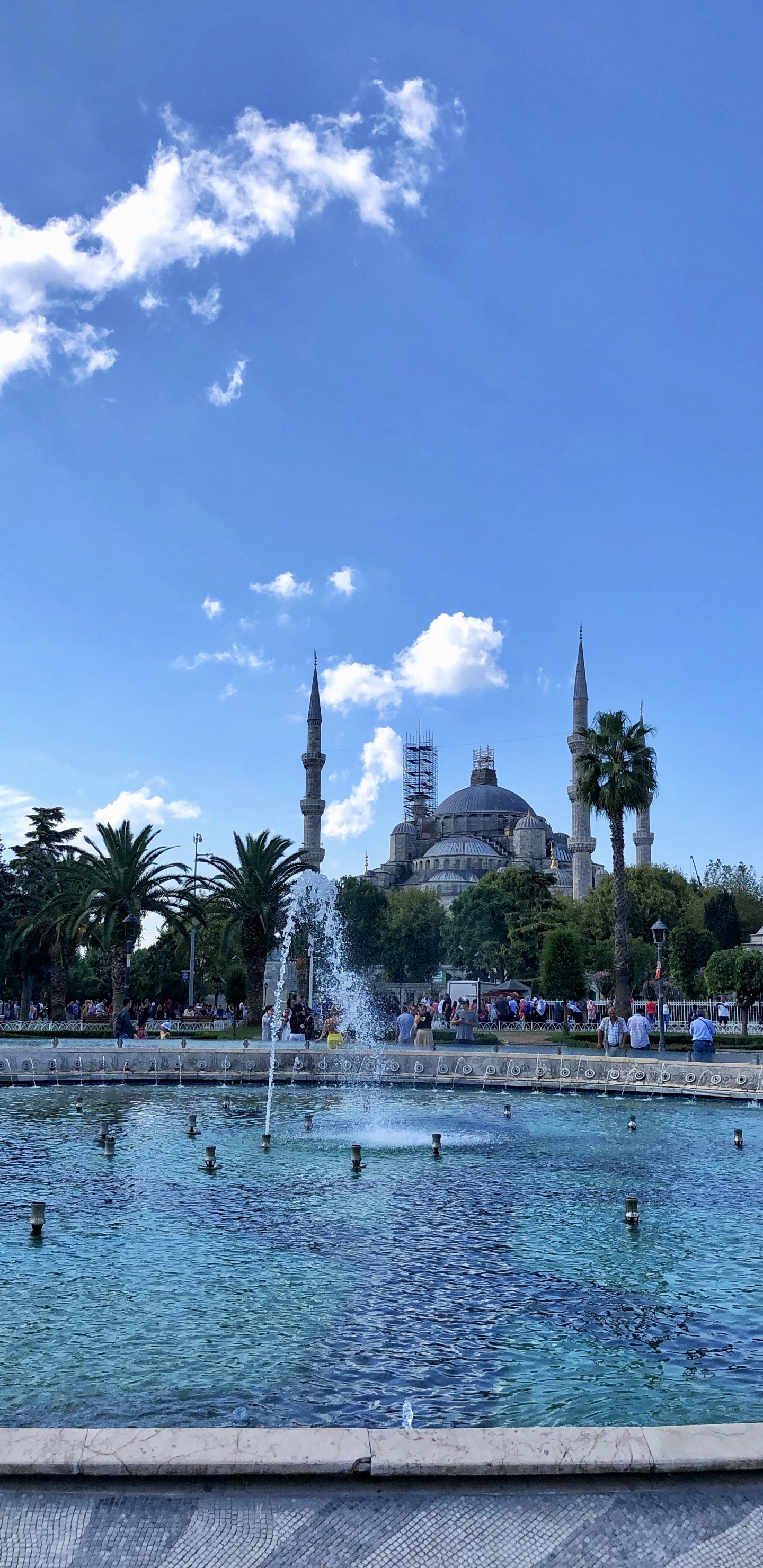 Обои пальмовые рощи, водоем, вода, гидроресурсы, городок в разрешении 1440x2960