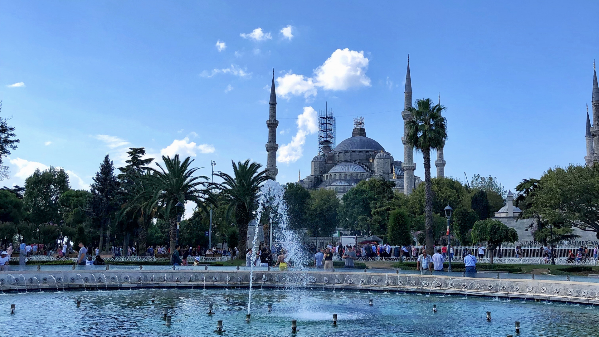 Обои пальмовые рощи, водоем, вода, гидроресурсы, городок в разрешении 1920x1080