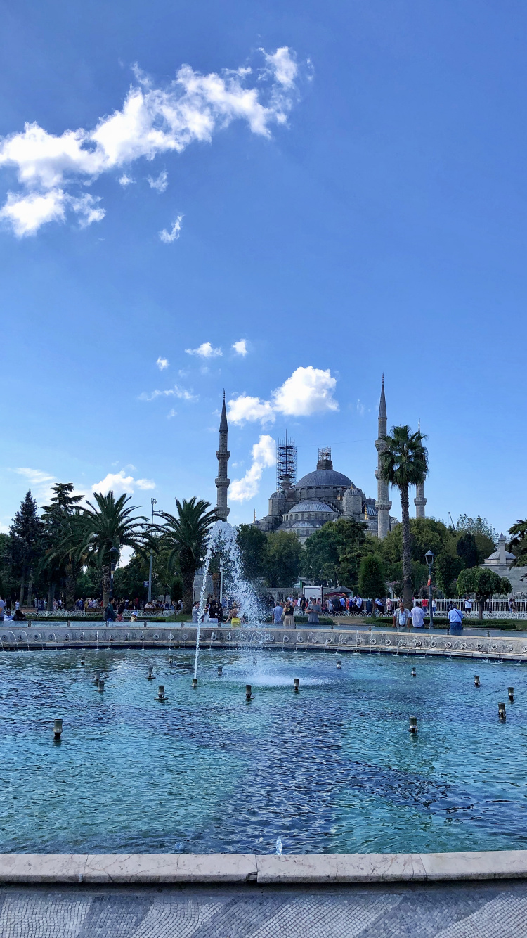 Обои пальмовые рощи, водоем, вода, гидроресурсы, городок в разрешении 750x1334