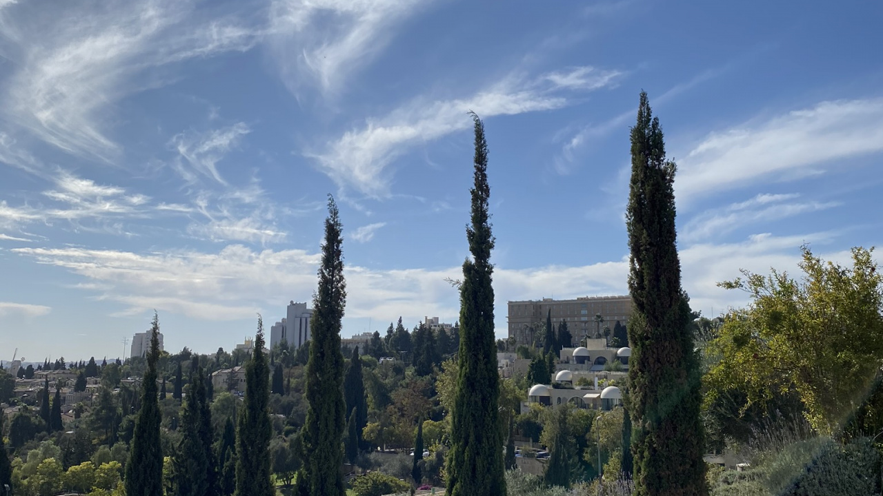 Обои биом, экология, биология, наука, облако в разрешении 1280x720