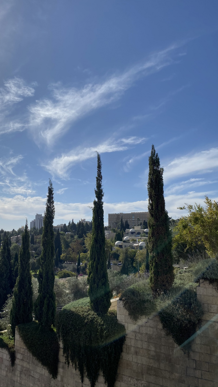 Обои биом, экология, биология, наука, облако в разрешении 750x1334