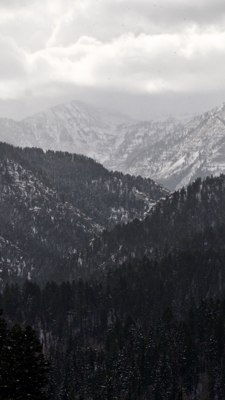 Обои горный хребет, гора, горный рельеф, дикая местность, елово пихтовые леса в разрешении 720x1280
