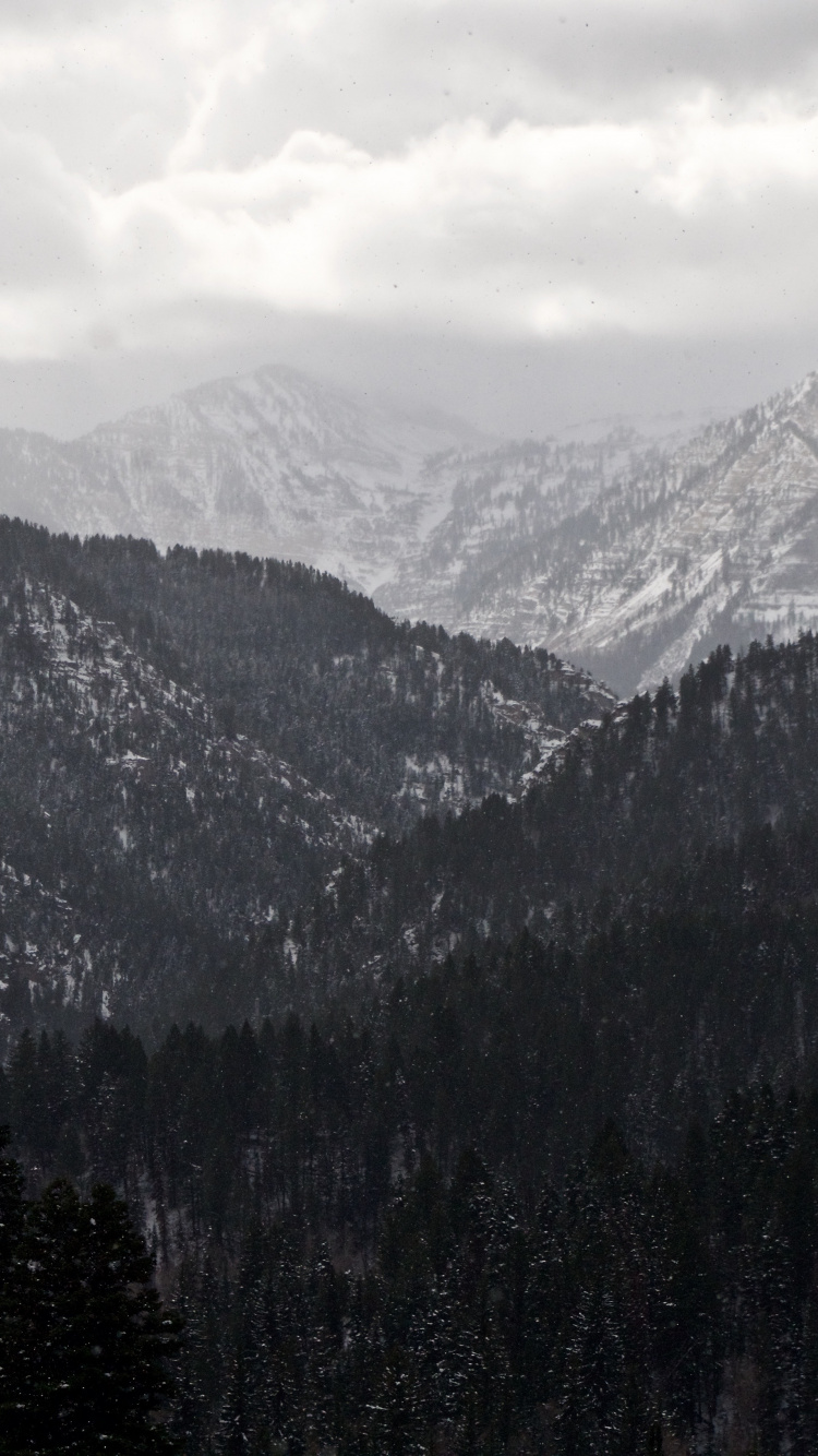 Обои горный хребет, гора, горный рельеф, дикая местность, елово пихтовые леса в разрешении 750x1334