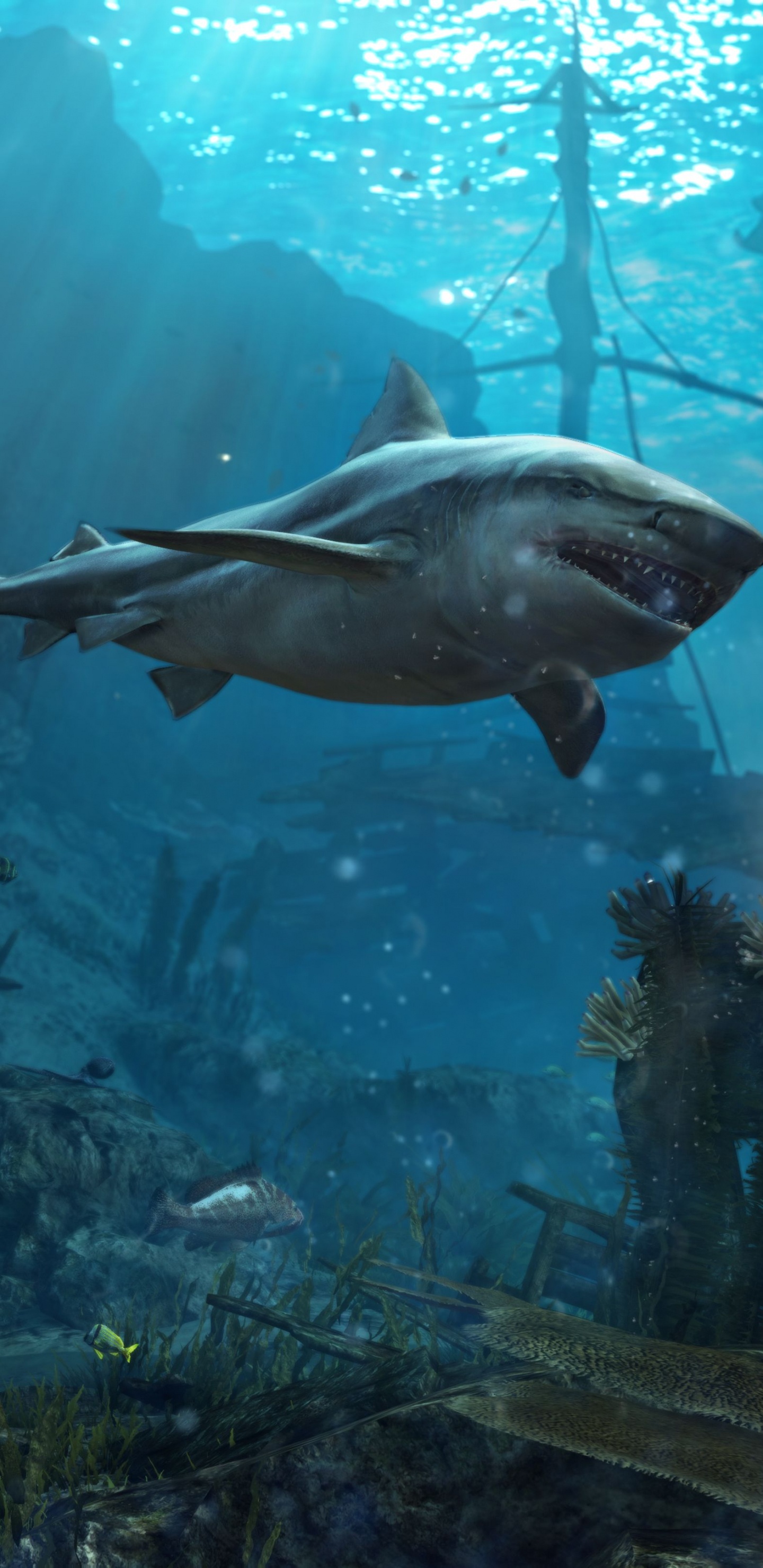 Обои ubisoft, ubisoft Монреаль, подземные воды, морская биология, рыба в разрешении 1440x2960