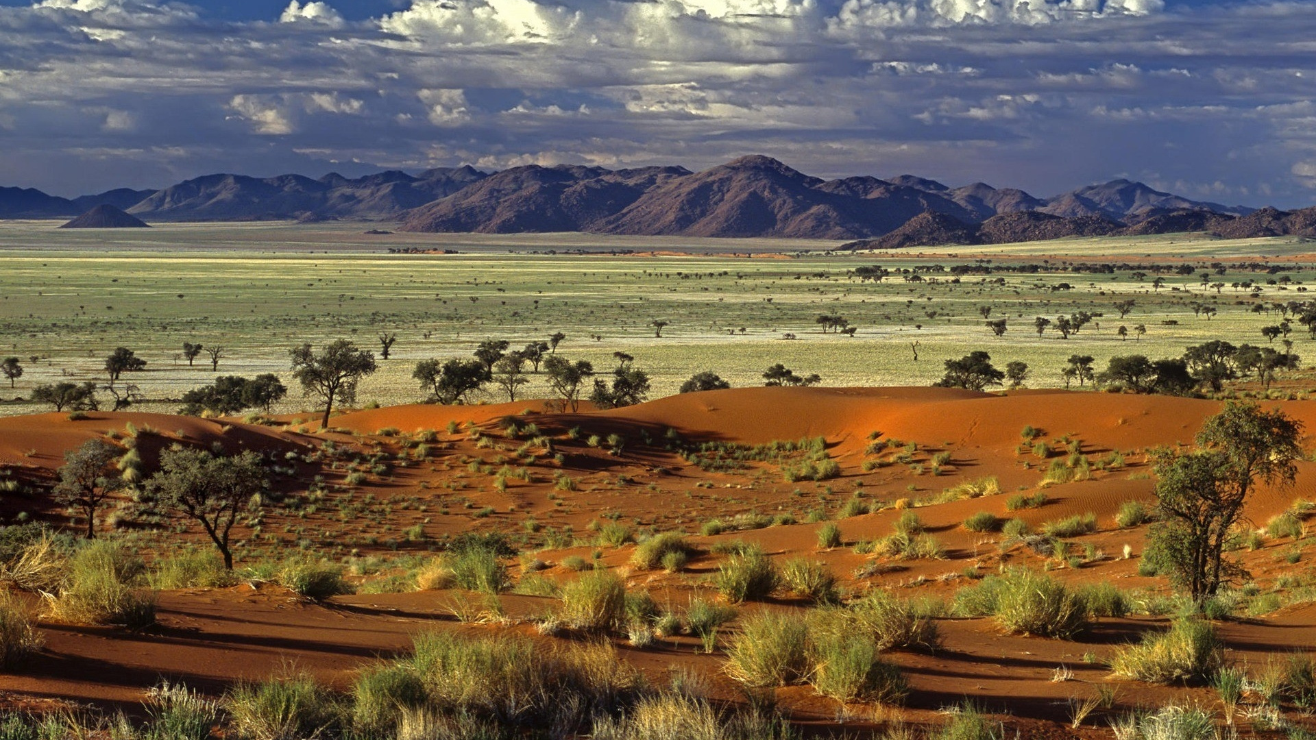 Обои Саванна, биом, равнина, экорегион, дикая местность в разрешении 1920x1080