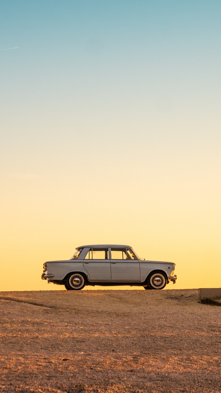 Обои лето, эстетика, растение, легковые автомобили, экорегион в разрешении 720x1280