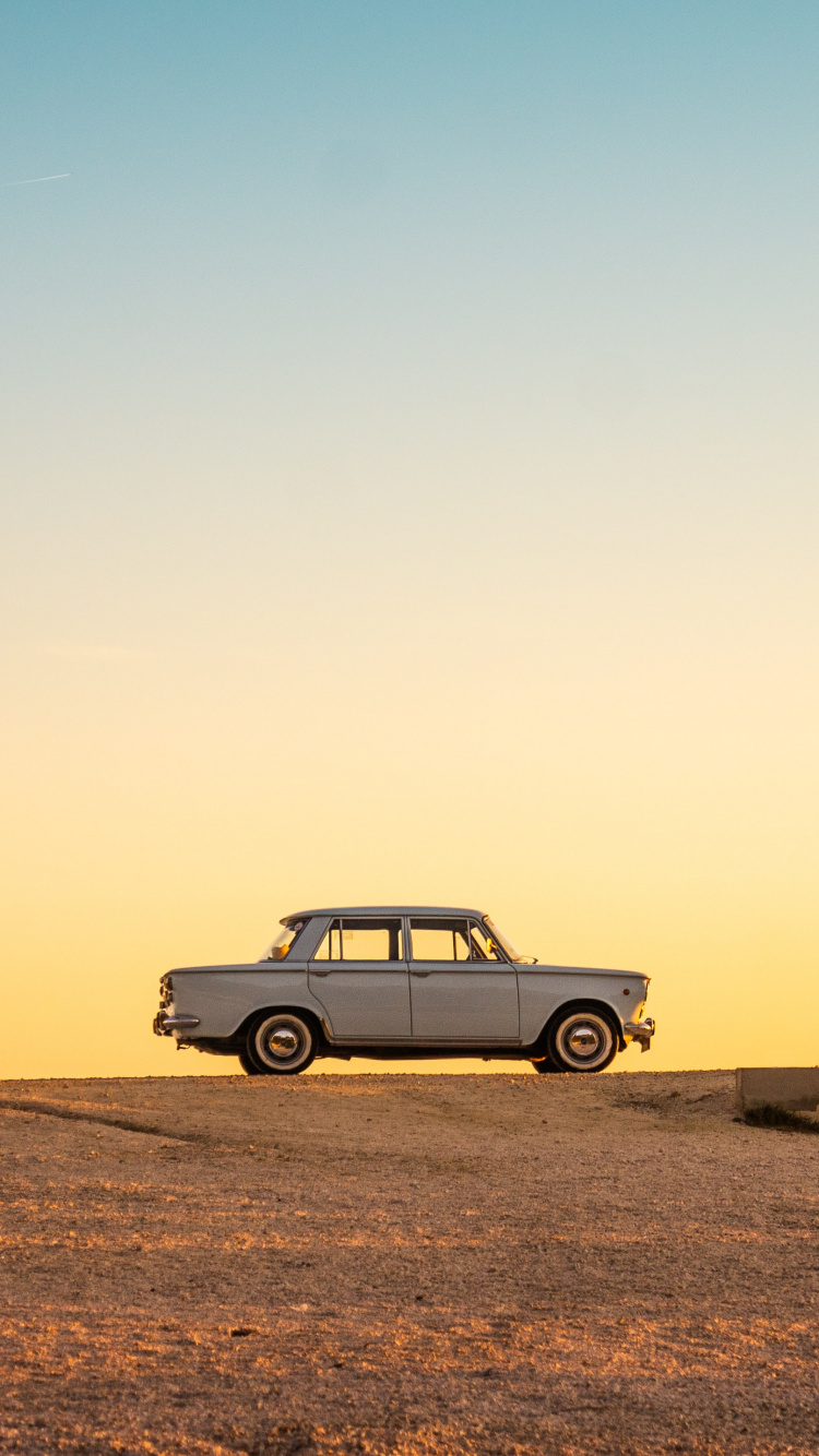 Обои лето, эстетика, растение, легковые автомобили, экорегион в разрешении 750x1334