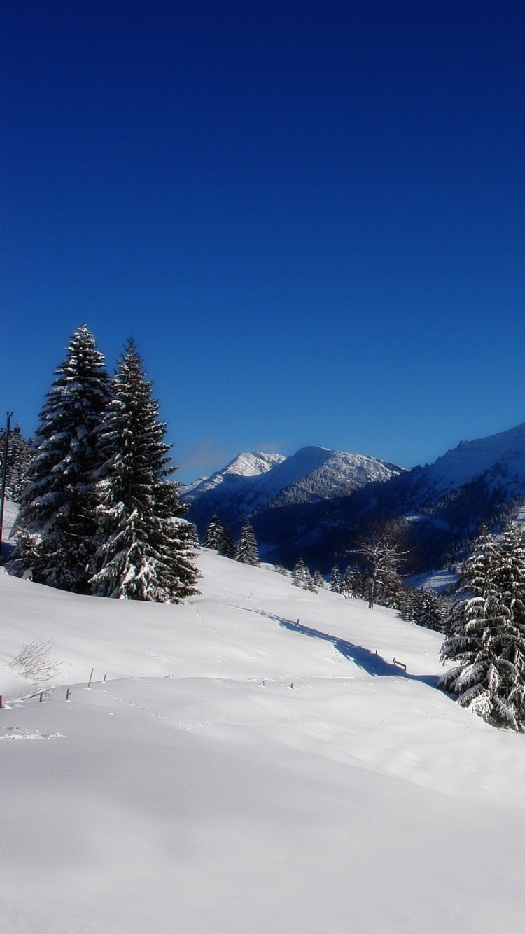 Обои снег, швейцарские Альпы, горный рельеф, горный хребет, облако в разрешении 750x1334