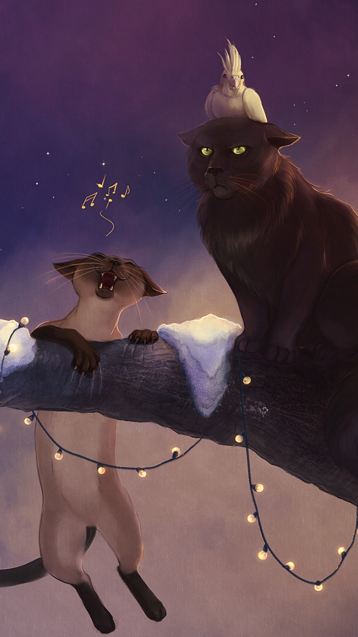 Обои кот, черная кошка, Шляпа ведьмы, мультфильм, головной убор в разрешении 720x1280