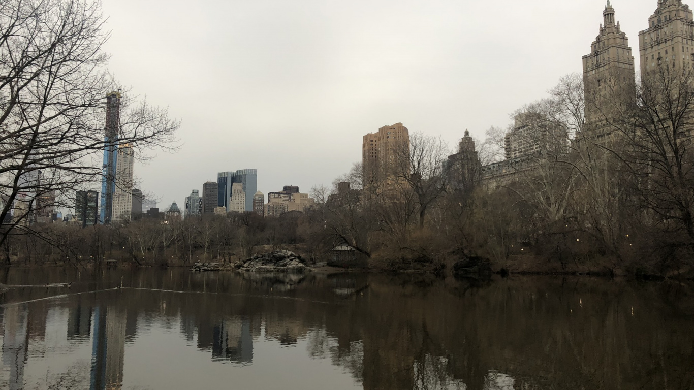 Обои отражение, водоем, гидроресурсы, водный путь, Банк в разрешении 1366x768