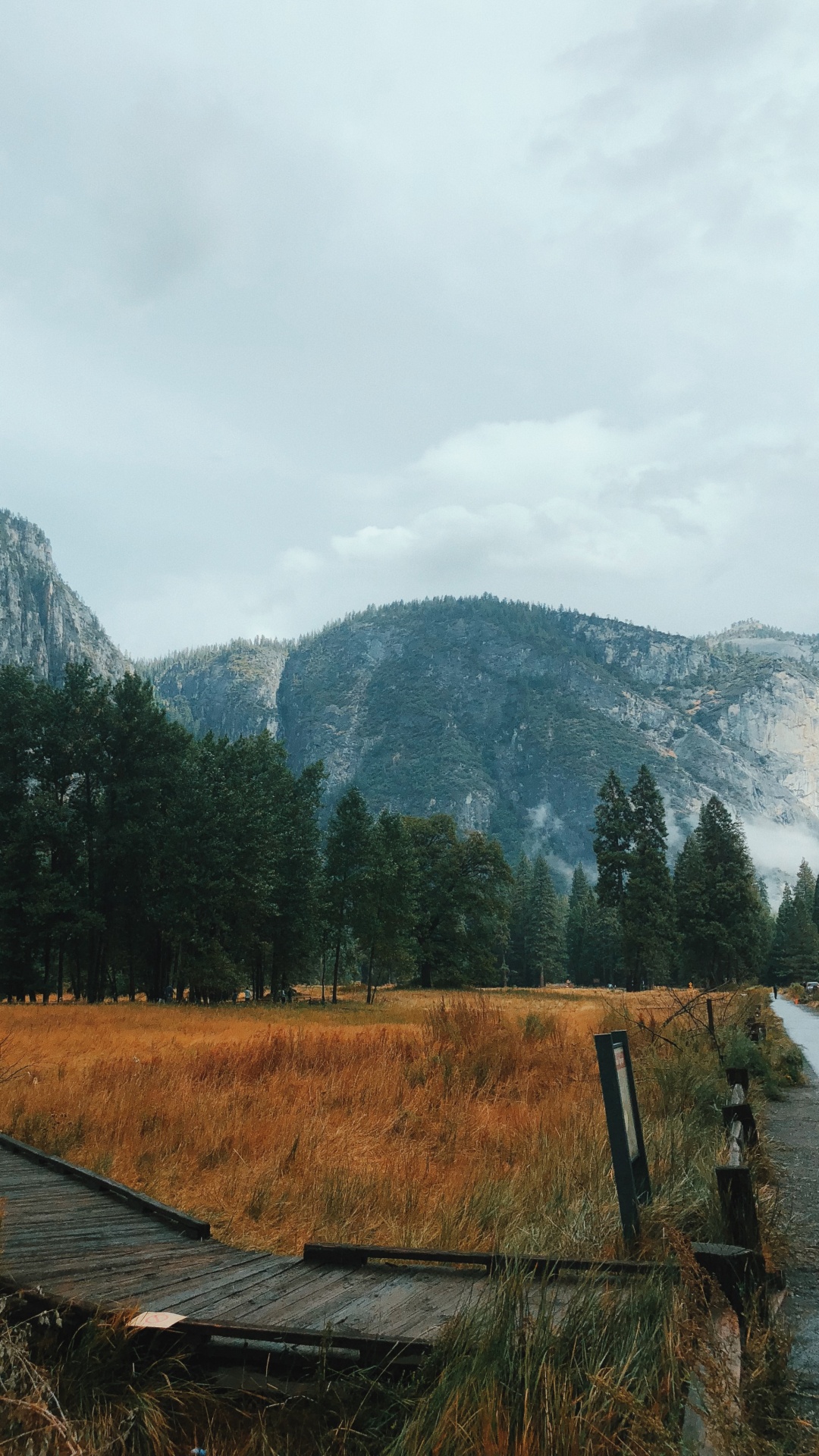 Обои Калифорния, США, йосемити, йосемитский национальный парк, гора в разрешении 1080x1920