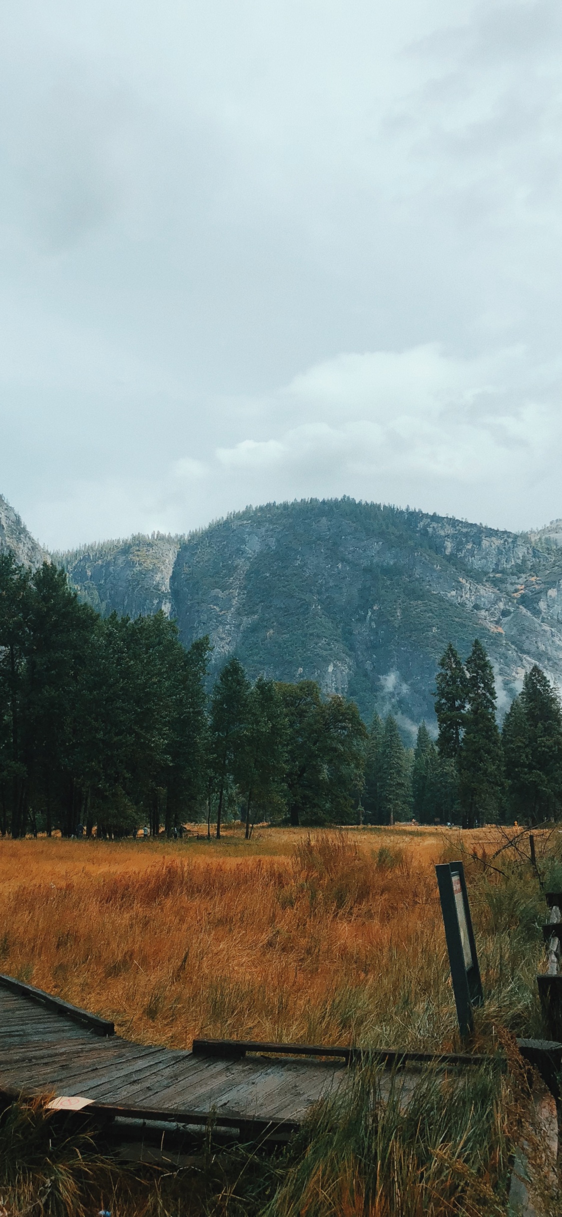 Обои Калифорния, США, йосемити, йосемитский национальный парк, гора в разрешении 1125x2436