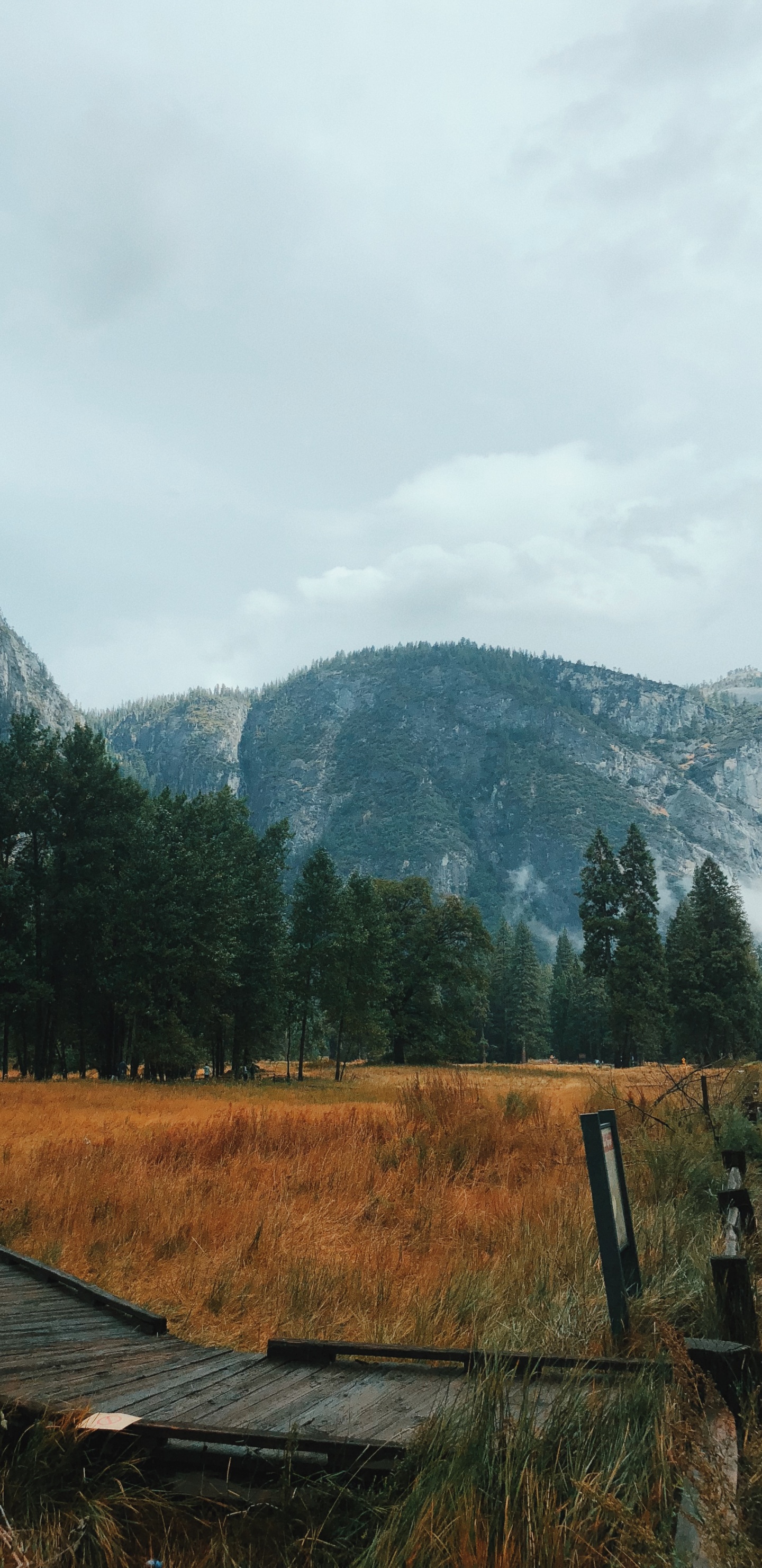 Обои Калифорния, США, йосемити, йосемитский национальный парк, гора в разрешении 1440x2960