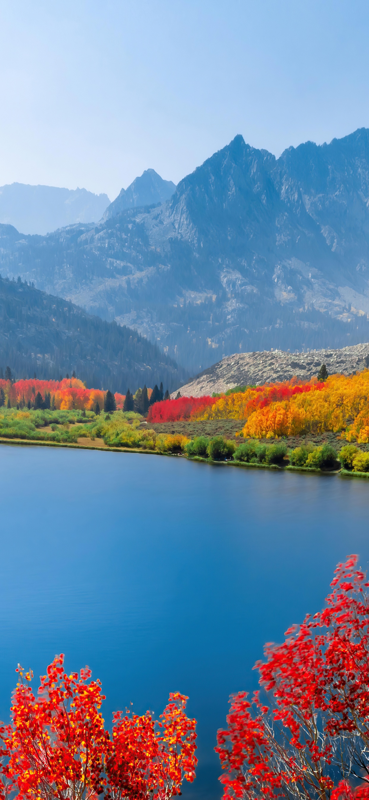 Обои макбук Эйр, iMac, Apple МасВоок Pro, вода, гора в разрешении 1242x2688