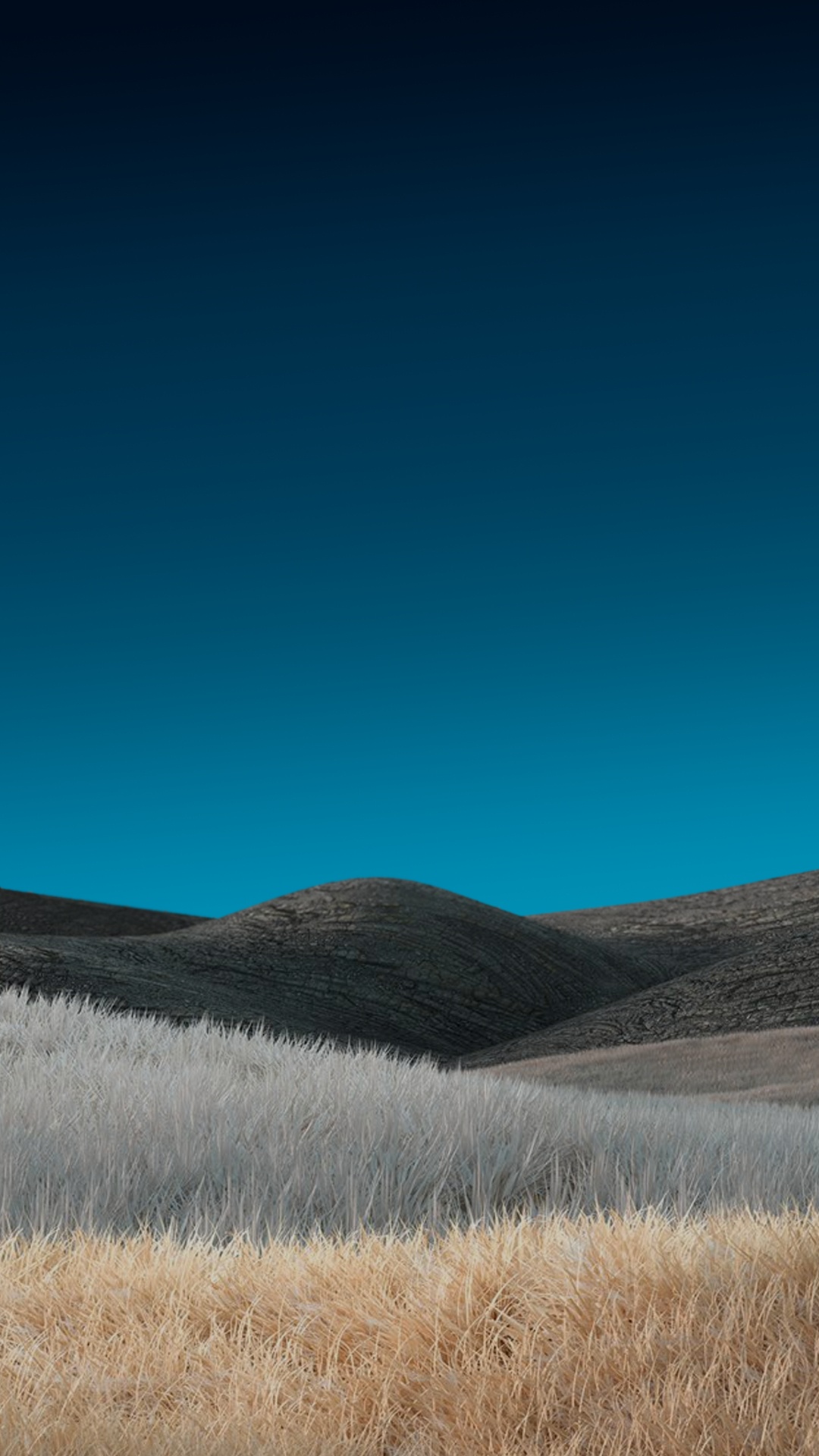 Обои сенокосное угодье, трава, степ, облако, лазурный в разрешении 1080x1920