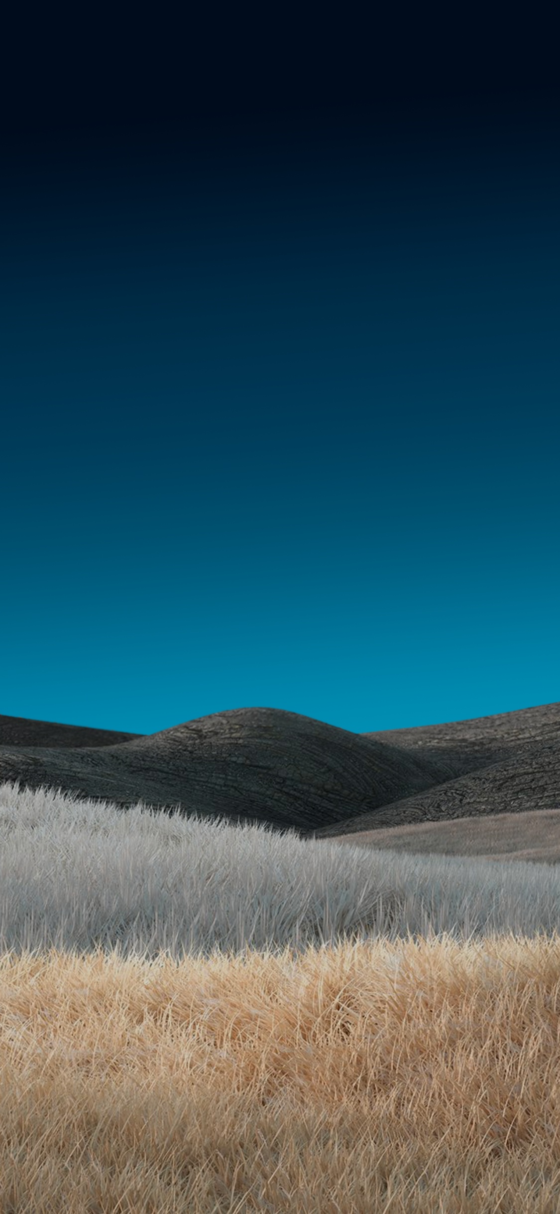 Обои сенокосное угодье, трава, степ, облако, лазурный в разрешении 1125x2436