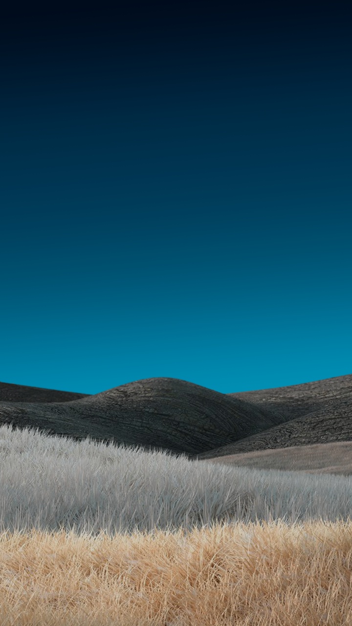 Обои сенокосное угодье, трава, степ, облако, лазурный в разрешении 720x1280