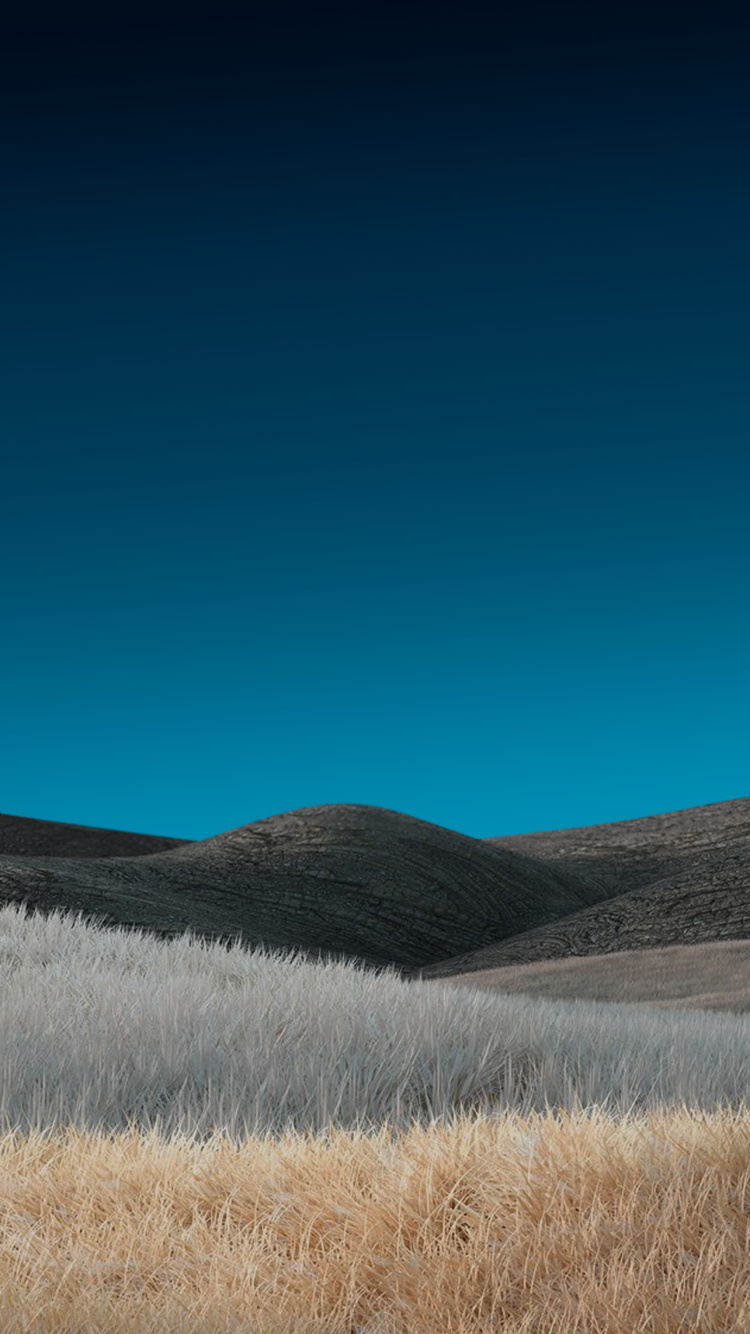 Обои сенокосное угодье, трава, степ, облако, лазурный в разрешении 750x1334