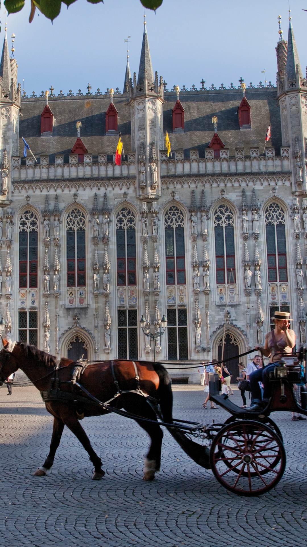 Обои мэрия, Амстердам, город, перевозка, лошадь и багги в разрешении 1080x1920