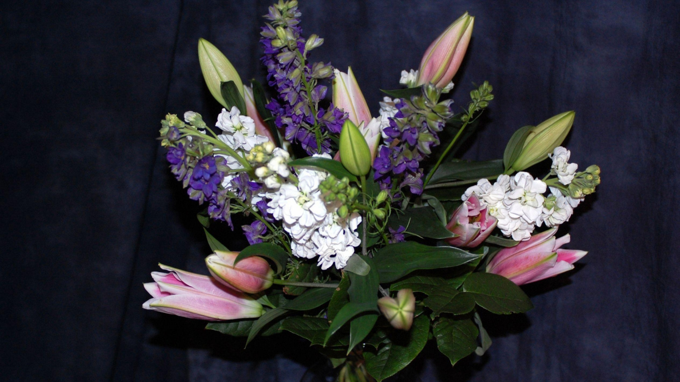 Обои цветочный букет, цветочный дизайн, Хризантема, цветковое растение, флористики в разрешении 1366x768