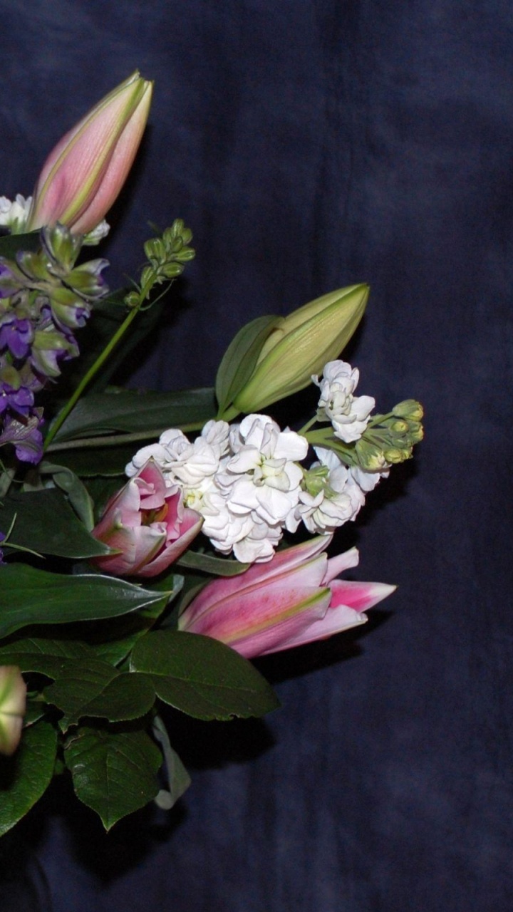 Обои цветочный букет, цветочный дизайн, Хризантема, цветковое растение, флористики в разрешении 720x1280