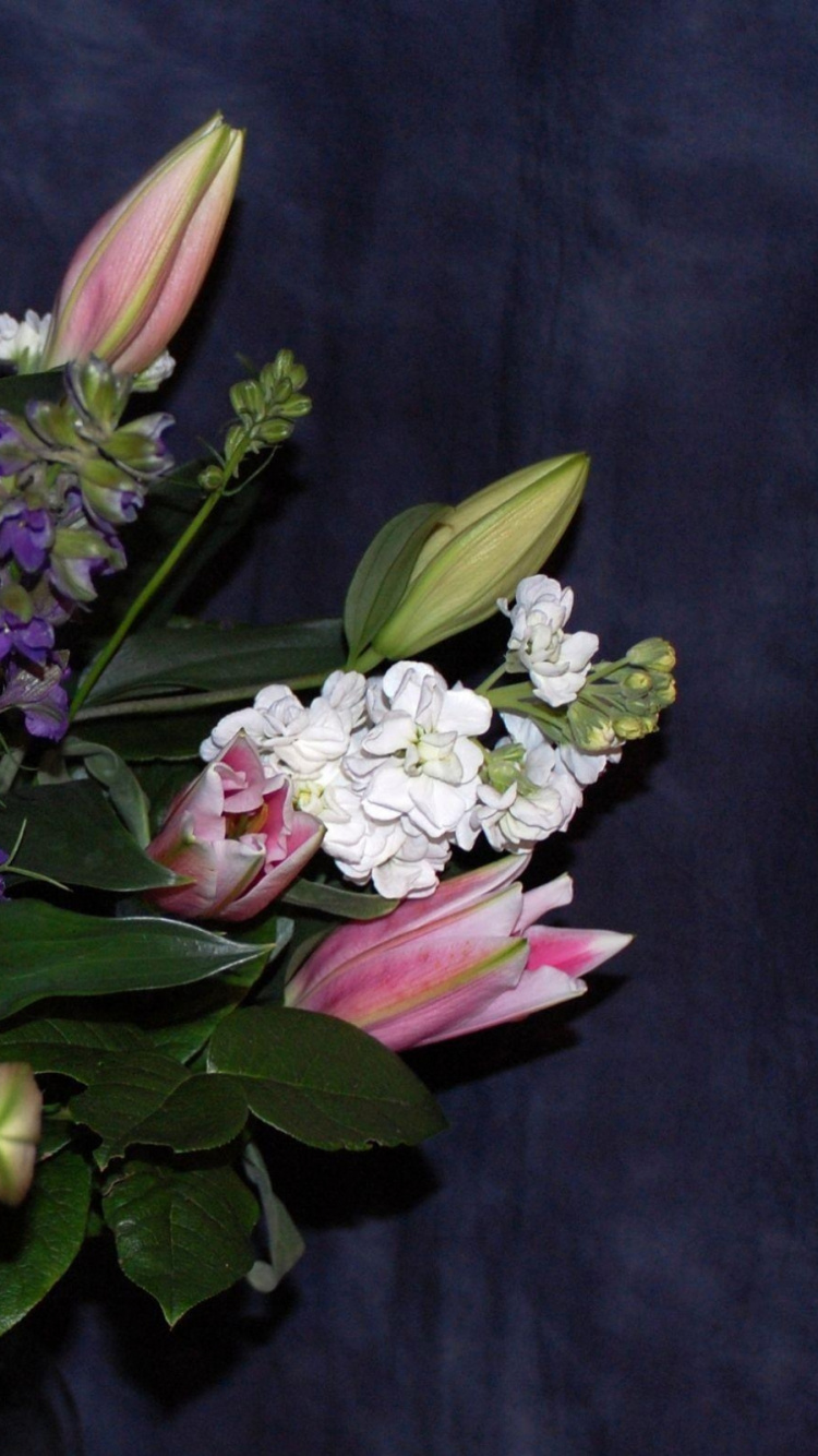 Обои цветочный букет, цветочный дизайн, Хризантема, цветковое растение, флористики в разрешении 750x1334