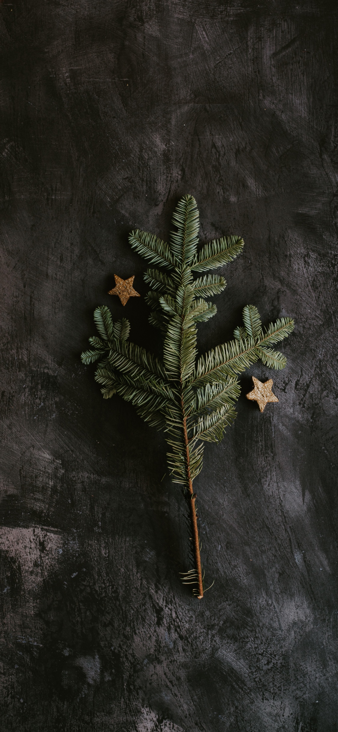 Обои Скучно Туманы, ветвь, 1МГ ТГК, дерево, лист в разрешении 1125x2436