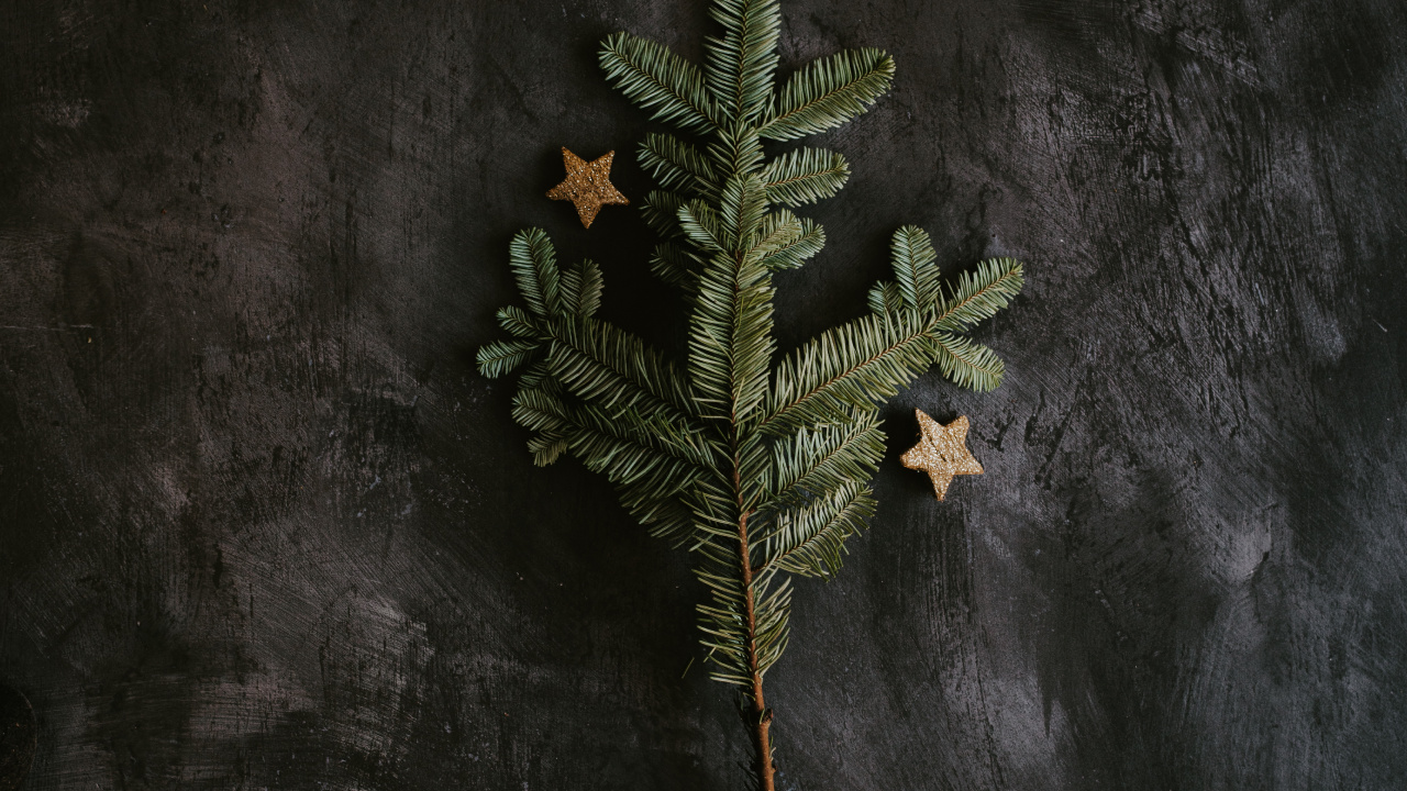 Обои Скучно Туманы, ветвь, 1МГ ТГК, дерево, лист в разрешении 1280x720