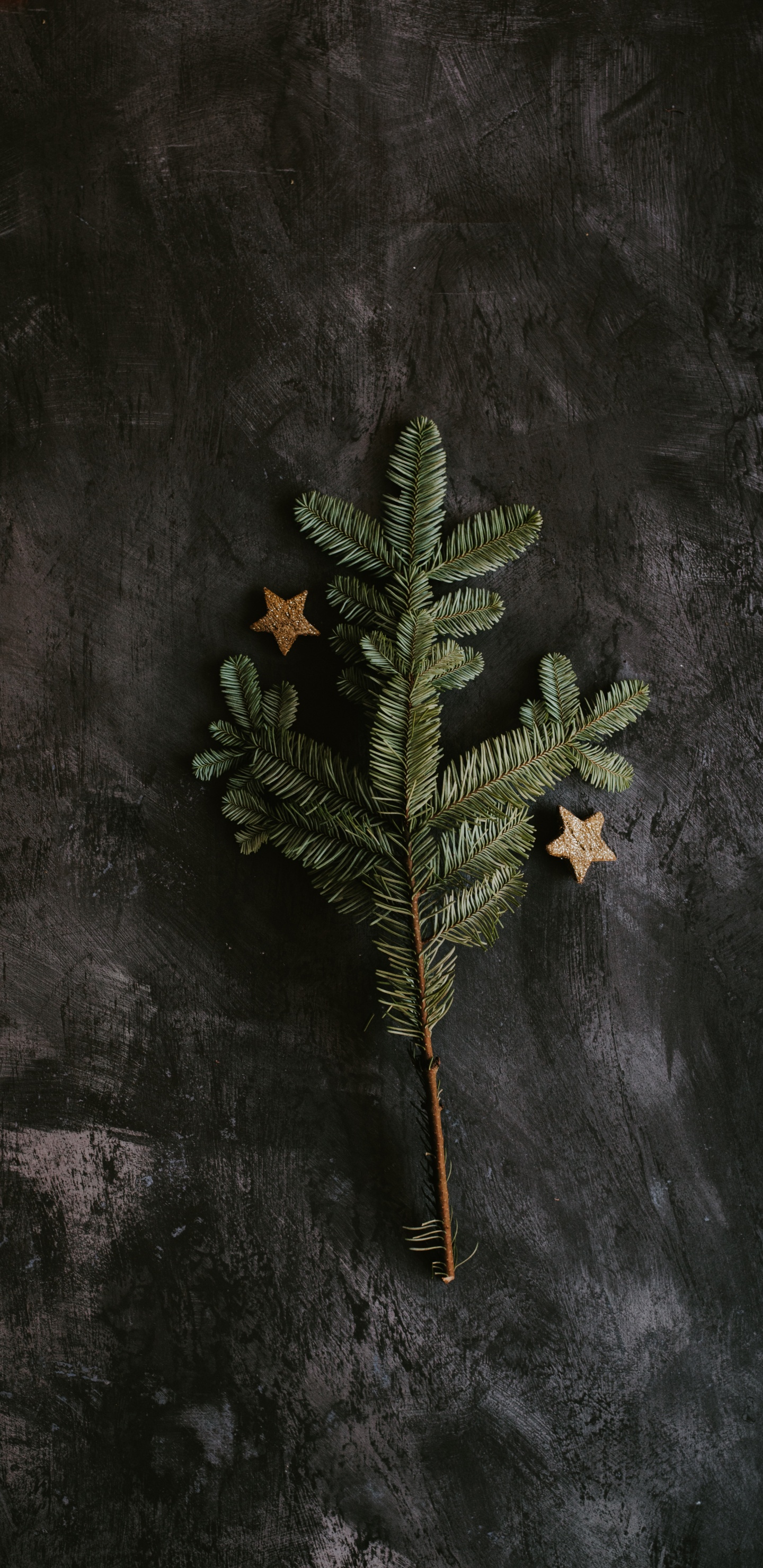 Обои Скучно Туманы, ветвь, 1МГ ТГК, дерево, лист в разрешении 1440x2960