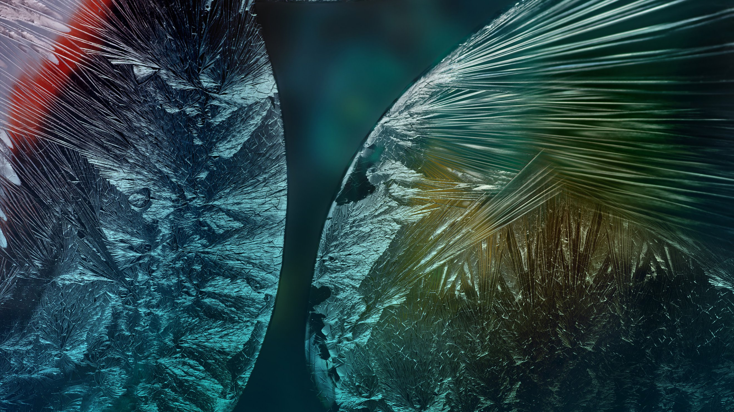 Обои Huawei, Huawei P40 Pro, huawei p40, huawei p30 pro, смартфон в разрешении 2560x1440