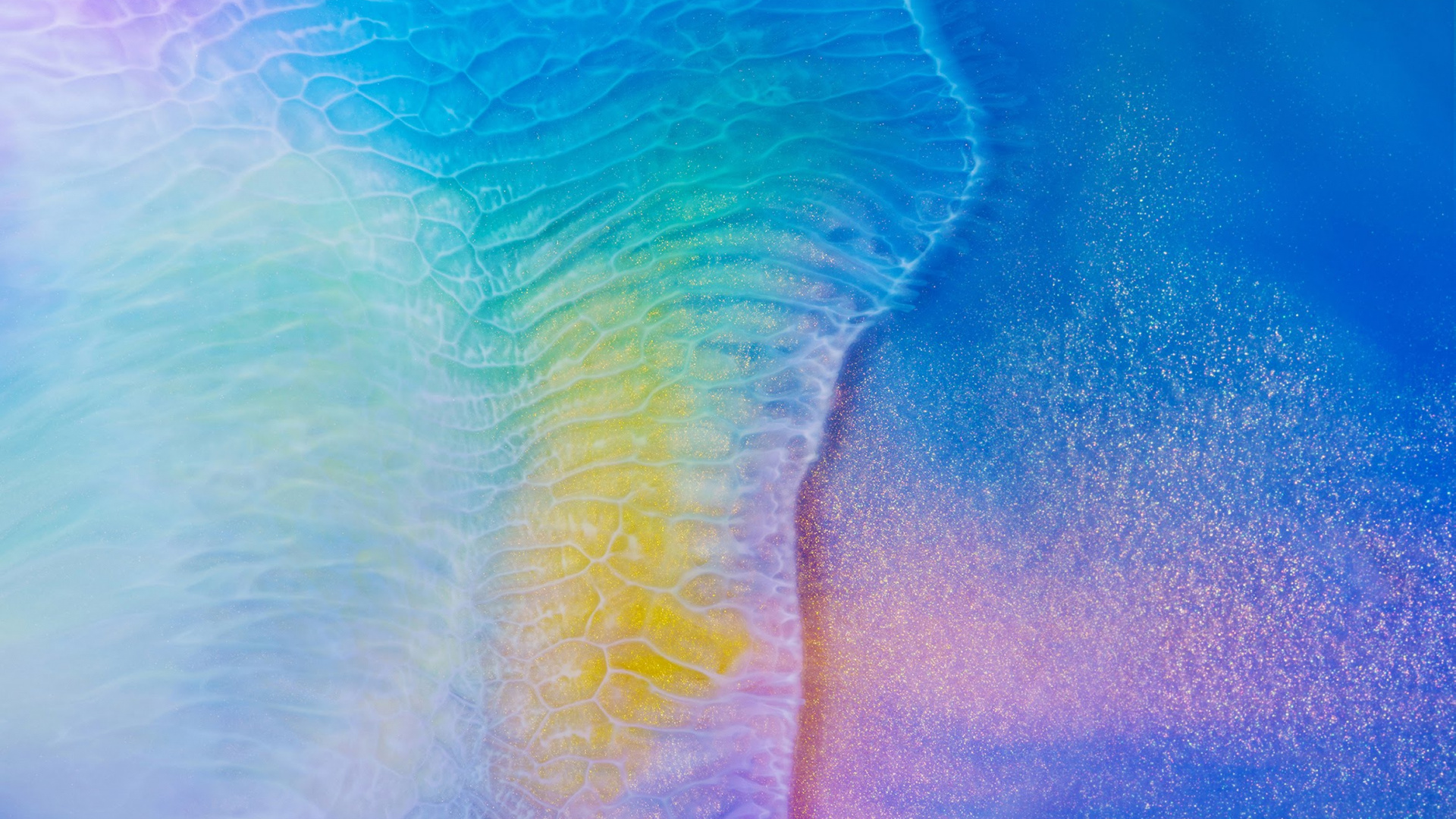 Обои Huawei, Huawei P30, Huawei Mate 20, huawei mate 20 pro, huawei mate 20 x в разрешении 1920x1080