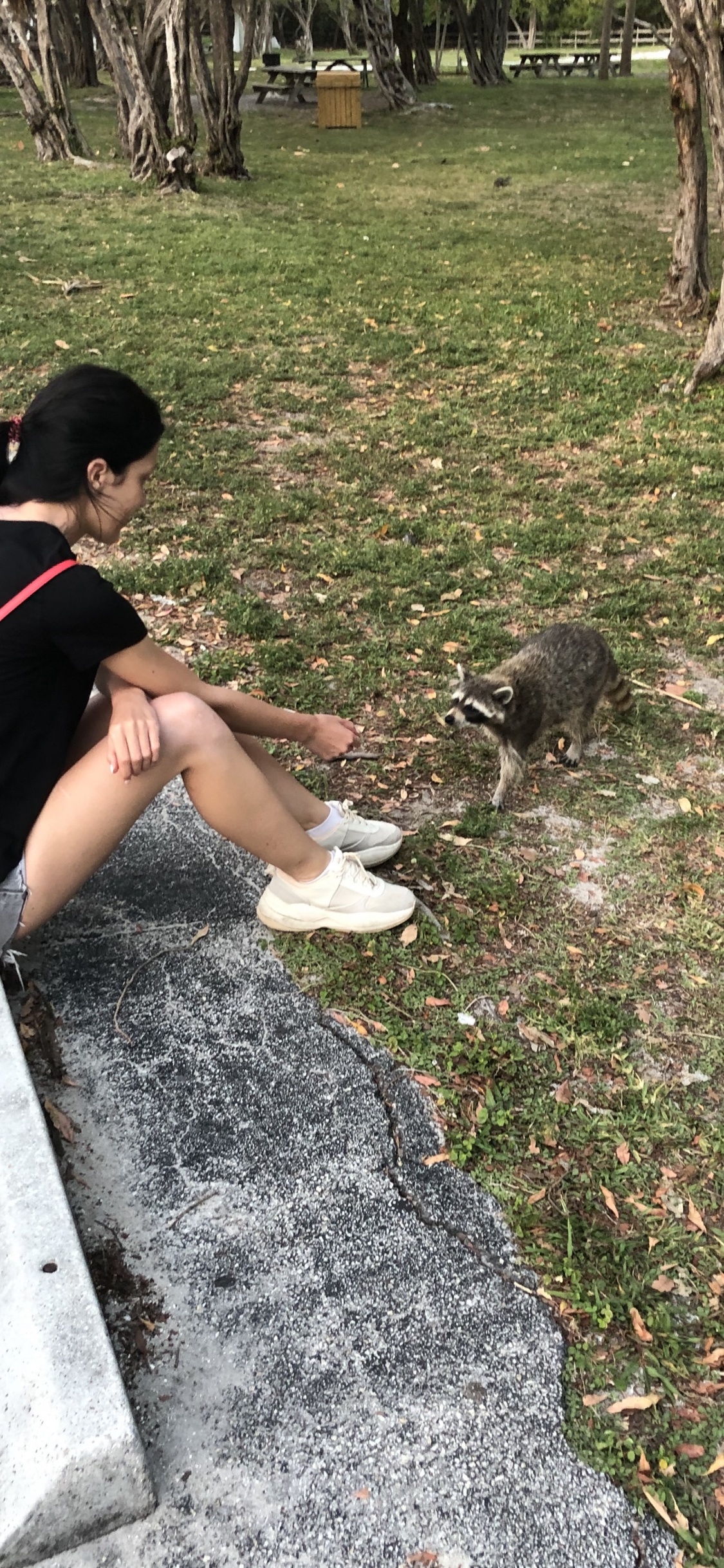 Обои дерево, пес, биология, наука, человек в разрешении 1125x2436