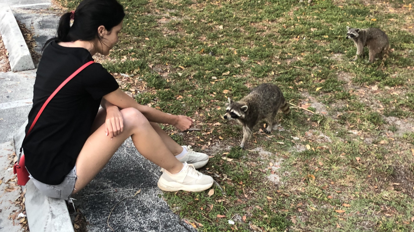 Обои дерево, пес, биология, наука, человек в разрешении 1366x768