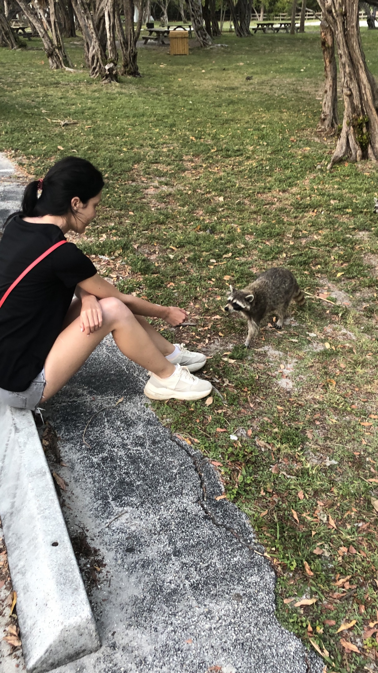 Обои дерево, пес, биология, наука, человек в разрешении 1440x2560