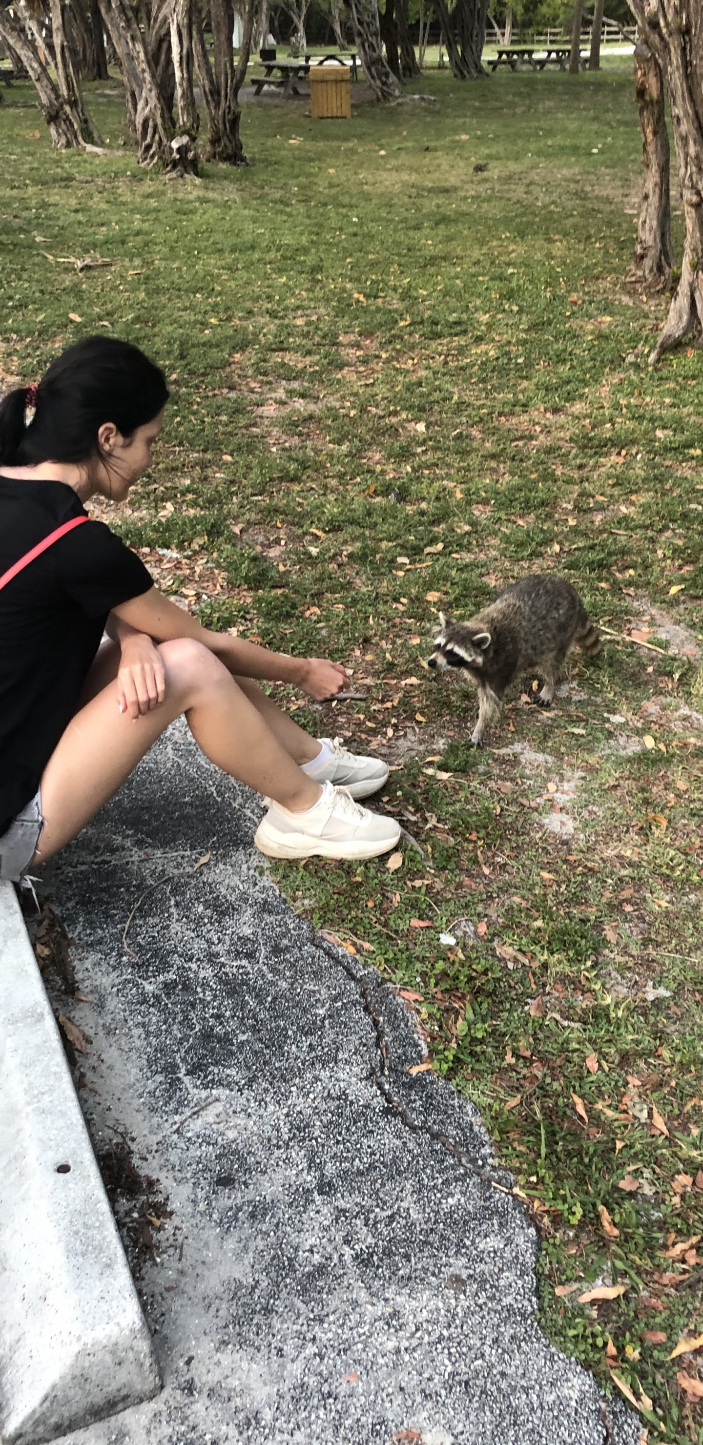 Обои дерево, пес, биология, наука, человек в разрешении 1440x2960