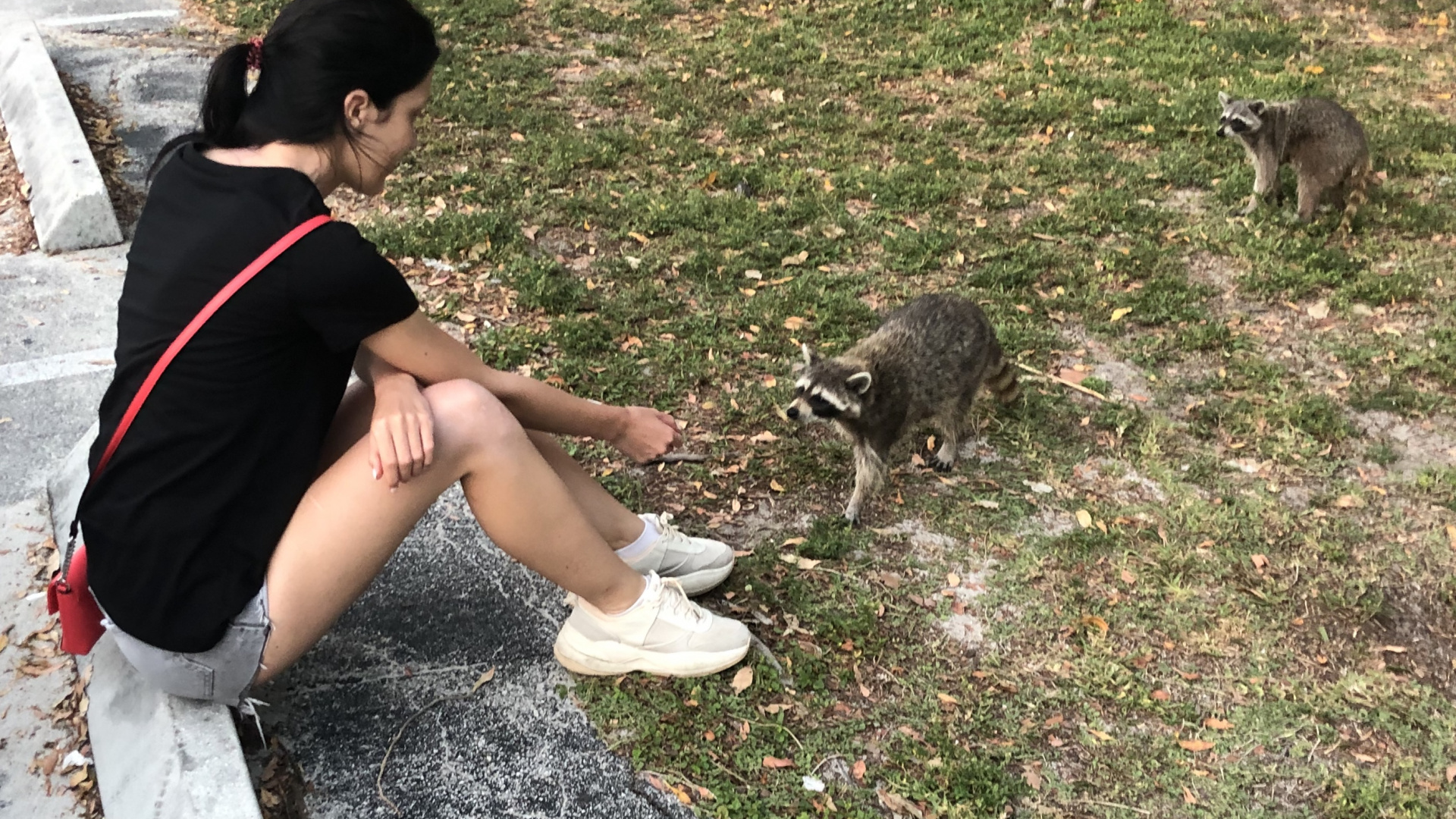 Обои дерево, пес, биология, наука, человек в разрешении 1920x1080