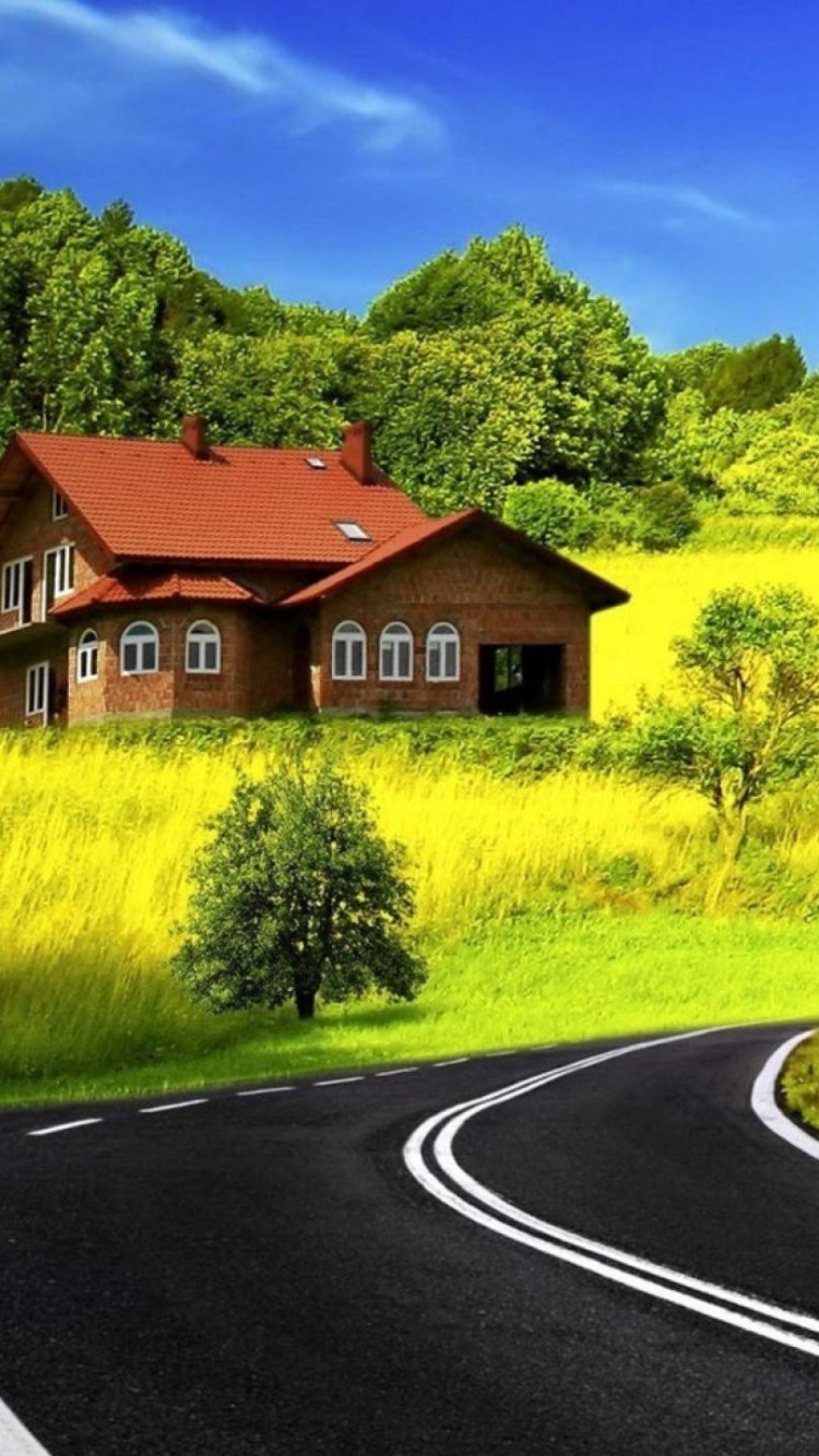 Обои природа, дорога, желтый, сенокосное угодье, пастбище в разрешении 750x1334