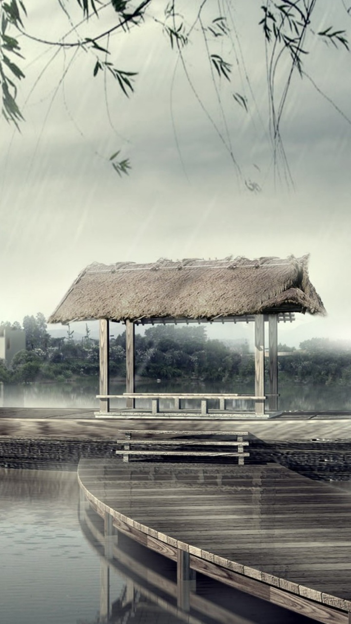 Обои дождь, вода, водный путь, дерево, утро в разрешении 720x1280